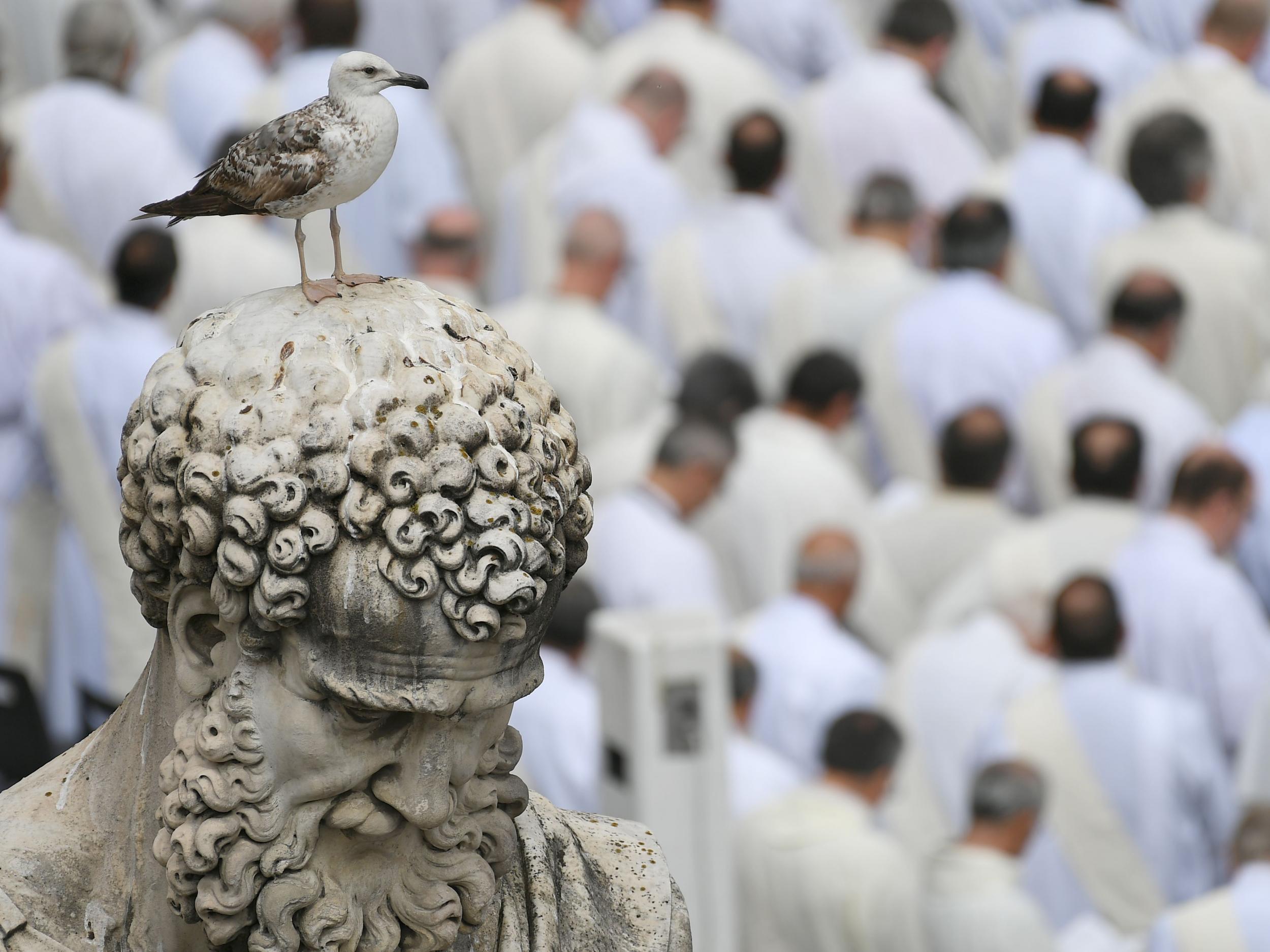 If some mayors promise a chicken in every pot, Rome’s have delivered a gull atop every rubbish bin