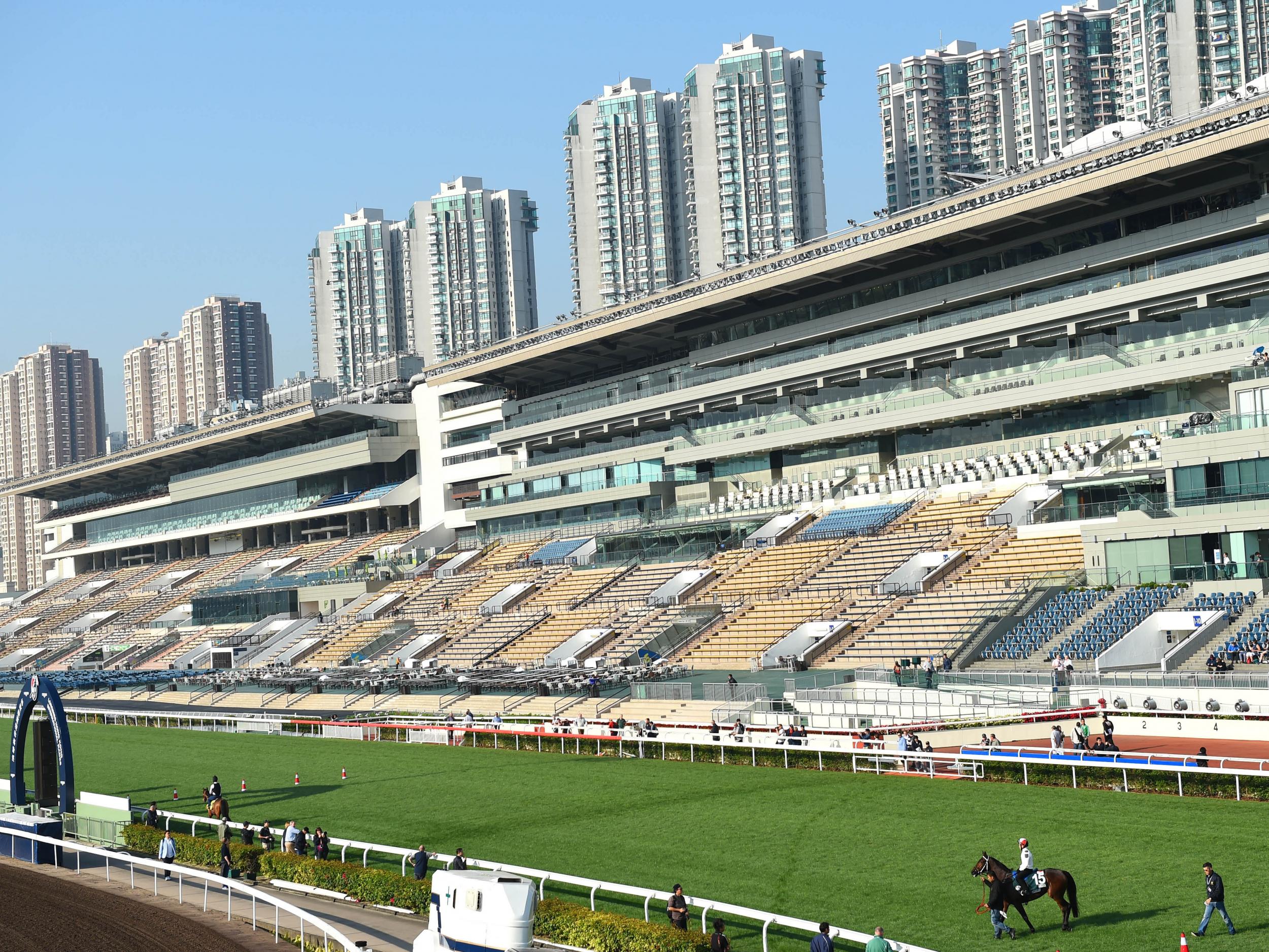 Industrial buildings behind Sha Tin racecourse