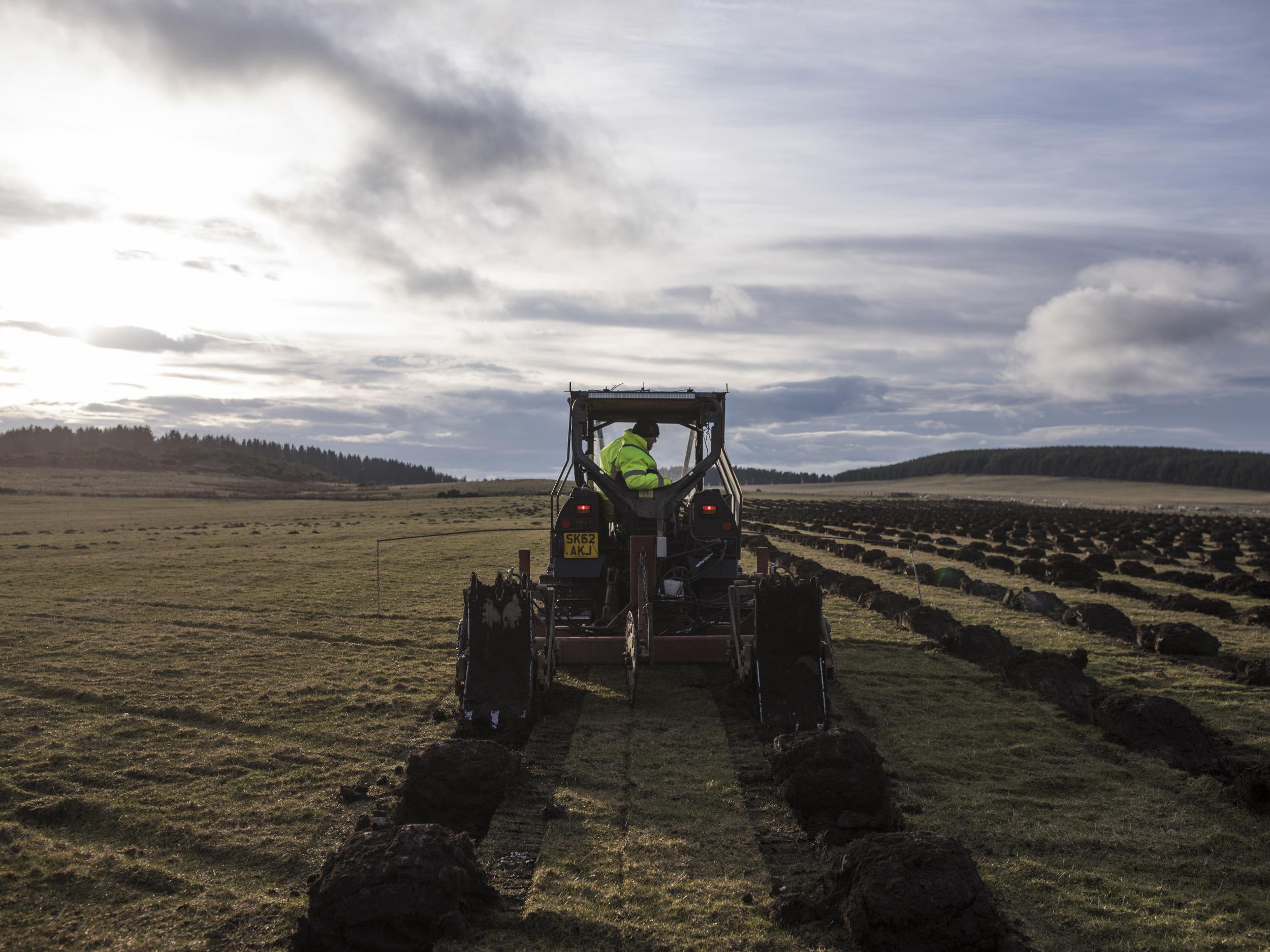 Tree planting projects such as this one in Doddington will be a key component in the UK's efforts to remove greenhouse gases from the atmosphere