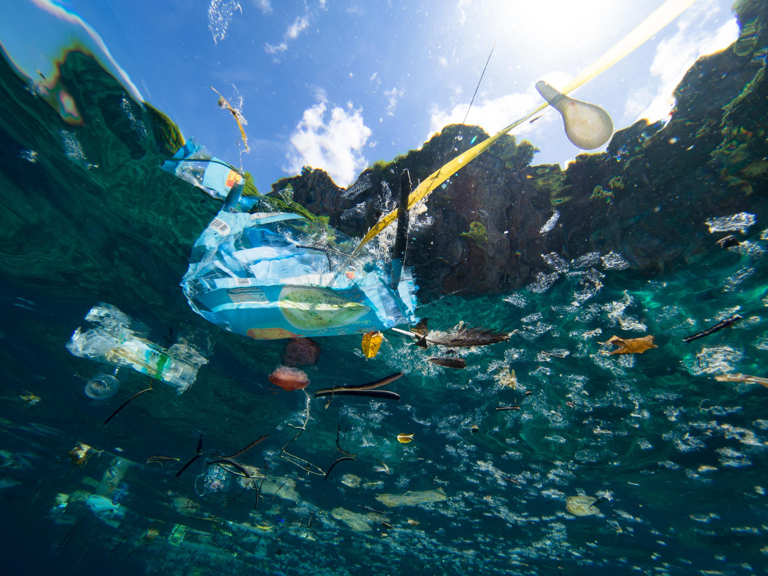 In some parts of our oceans, there is six times more plastic than plankton