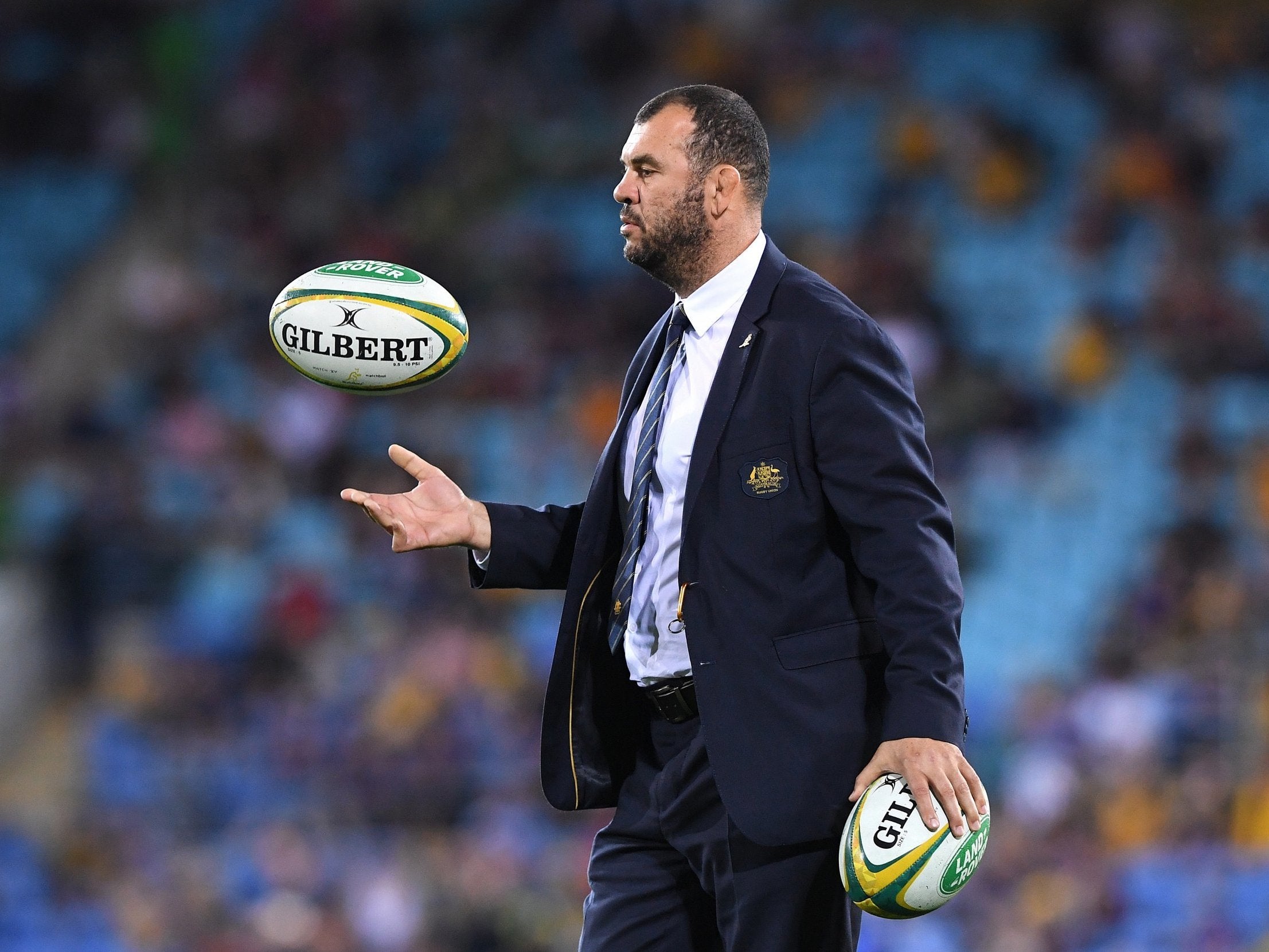 Michael Cheika is under growing pressure as Australia head coach