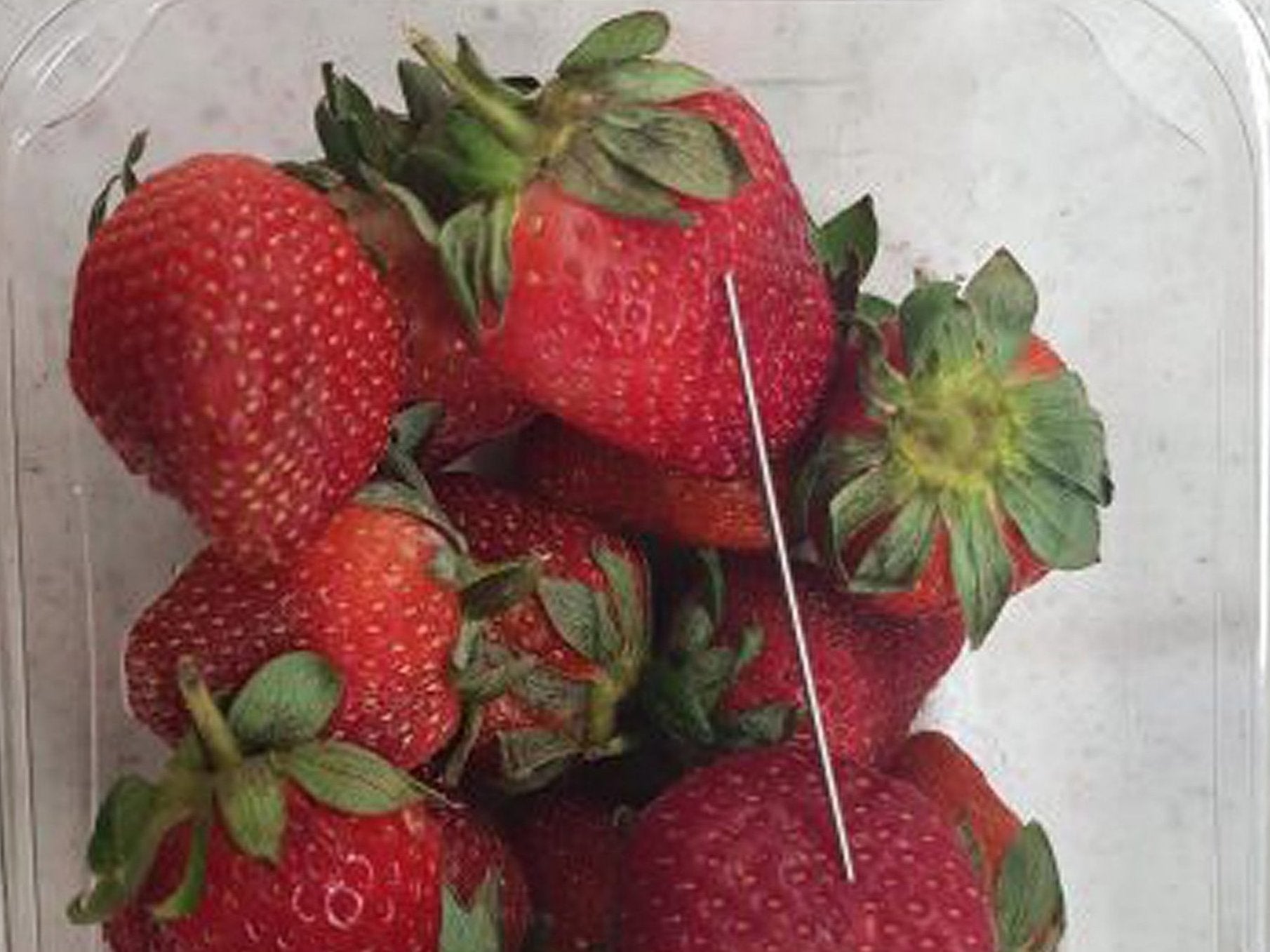 A thin piece of metal seen among a basket of strawberries in Queensland