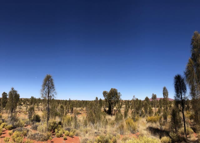 The dry plains of Uluru