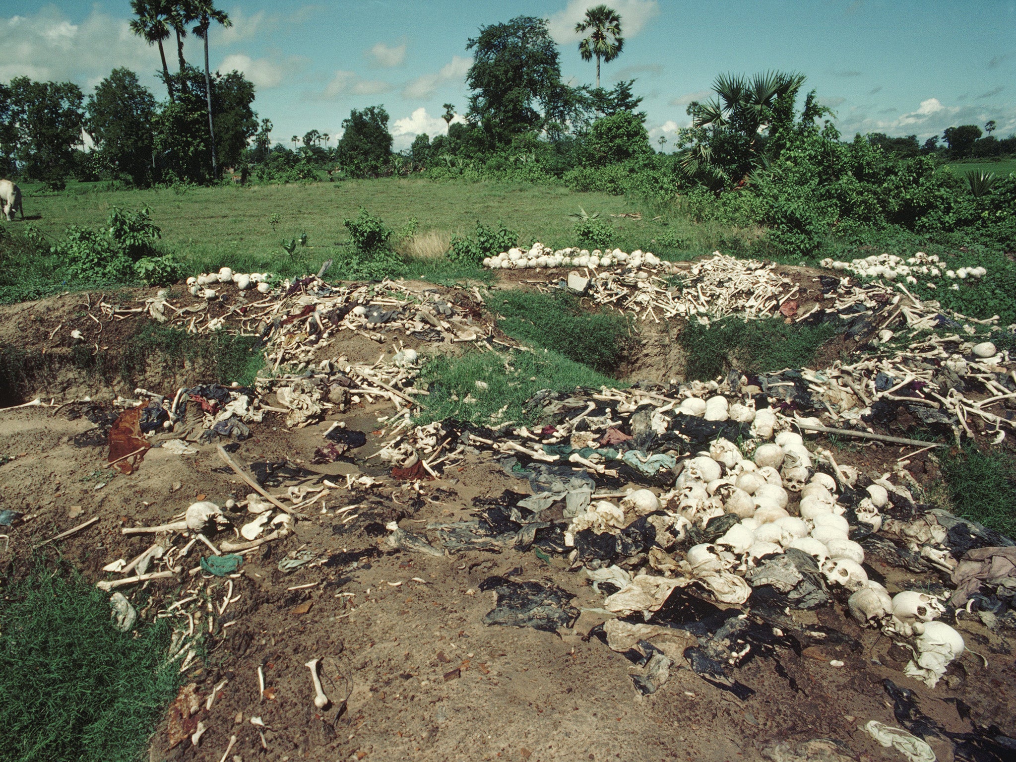 An exhumed mass grave