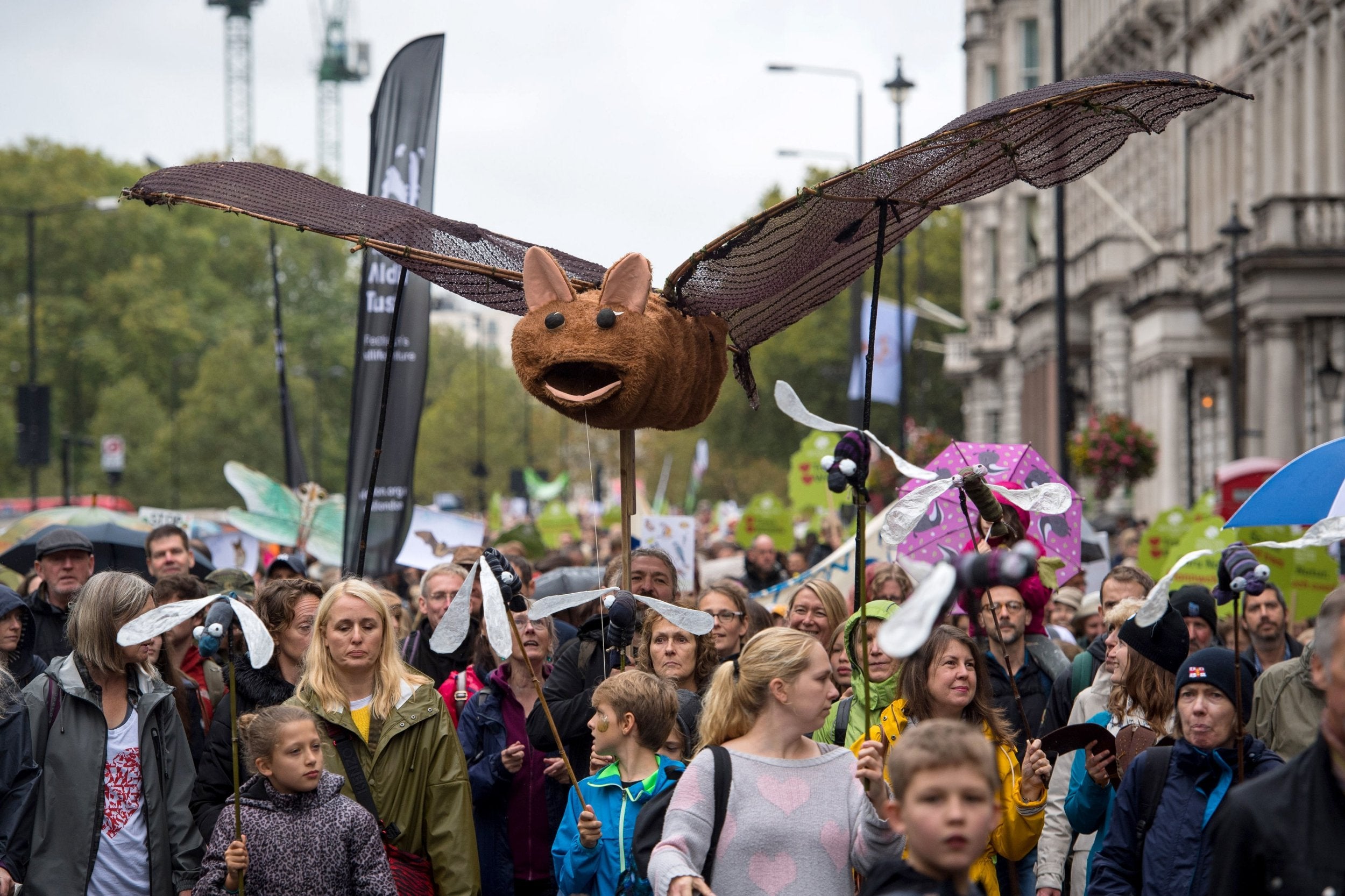 Attendees were encouraged to show support for their favourite British wildlife by dressing in costumes and bringing banners