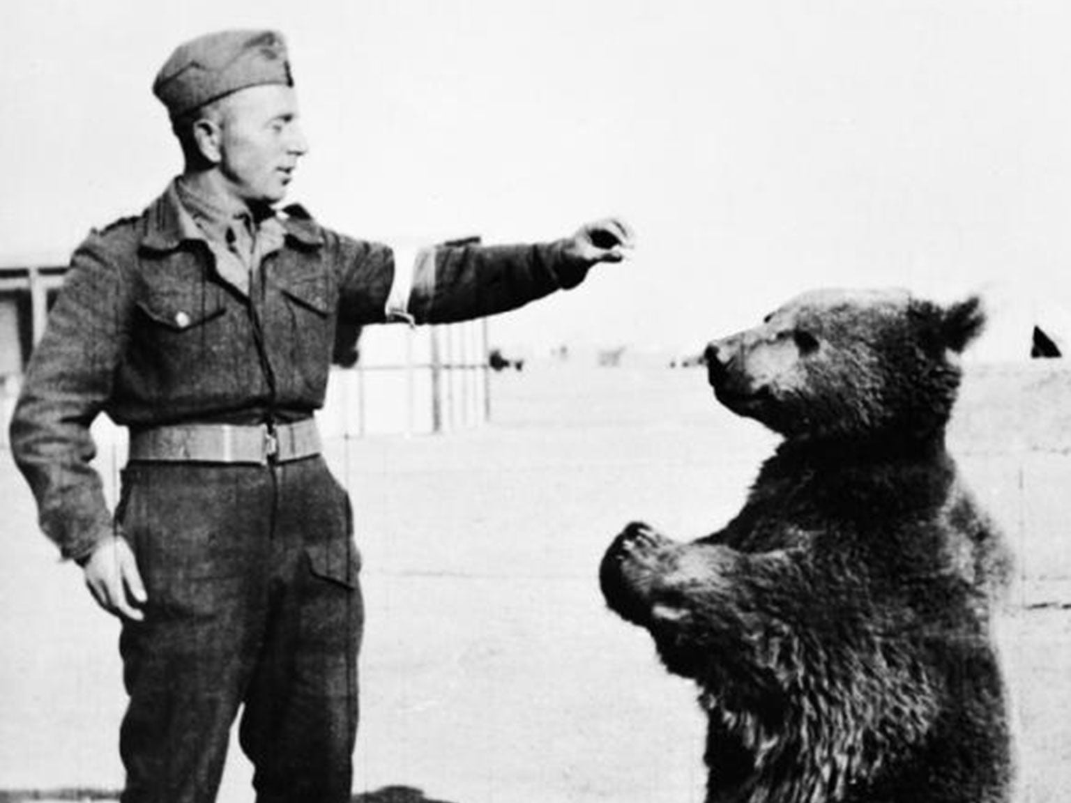 'Private Wojtek', seen here with a fellow soldier, was said to have carried ammunition as the Polish II Corps took Monte Cassino from the Germans