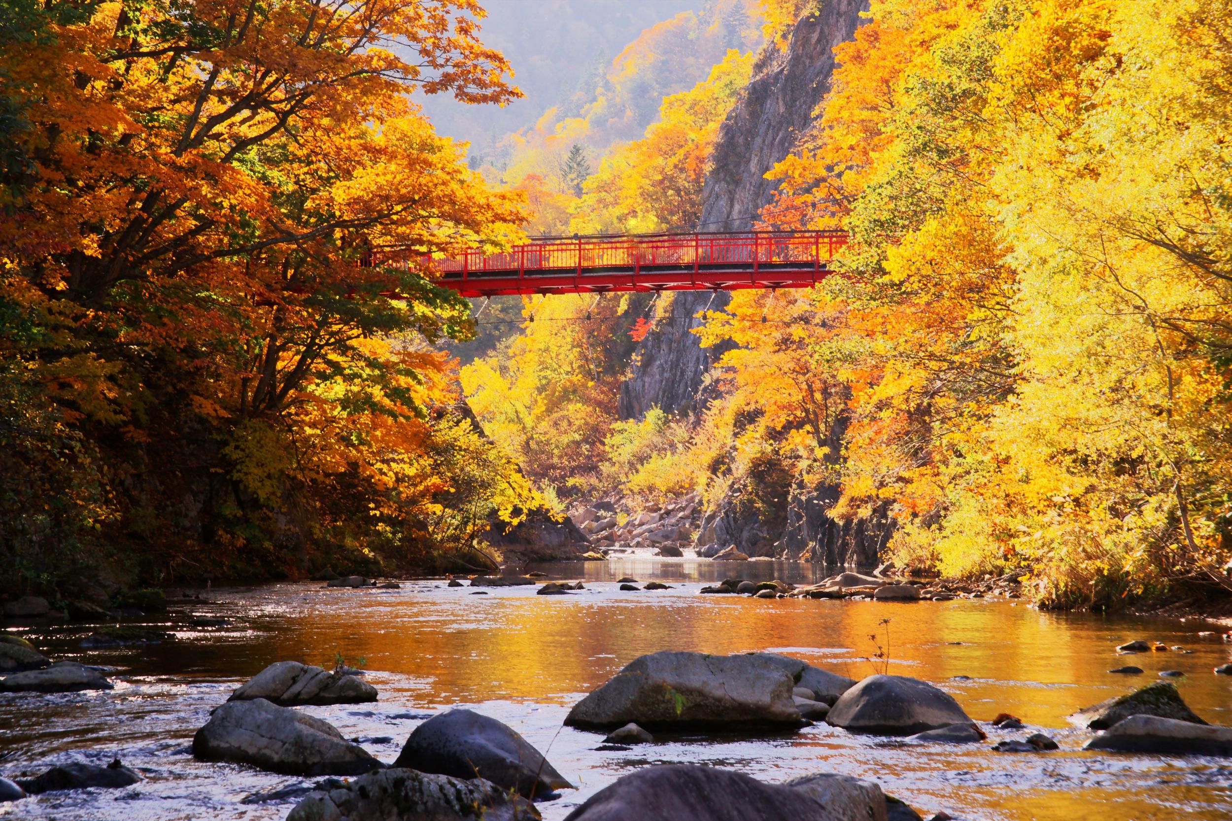 Japan's natural bounty spans all seasons (iStock)