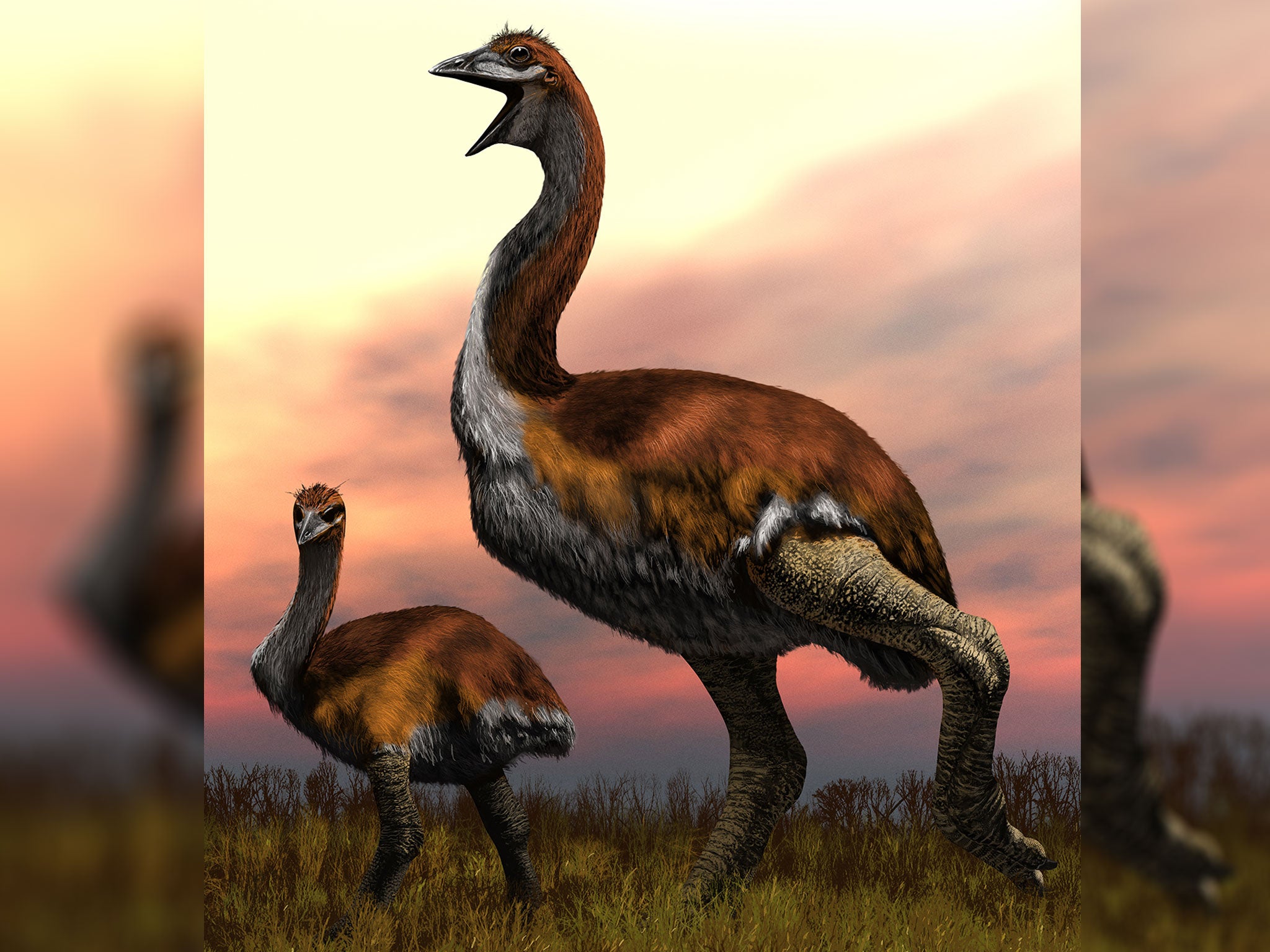 A mock-up of the newly-awarded largest bird, Vorombe titan