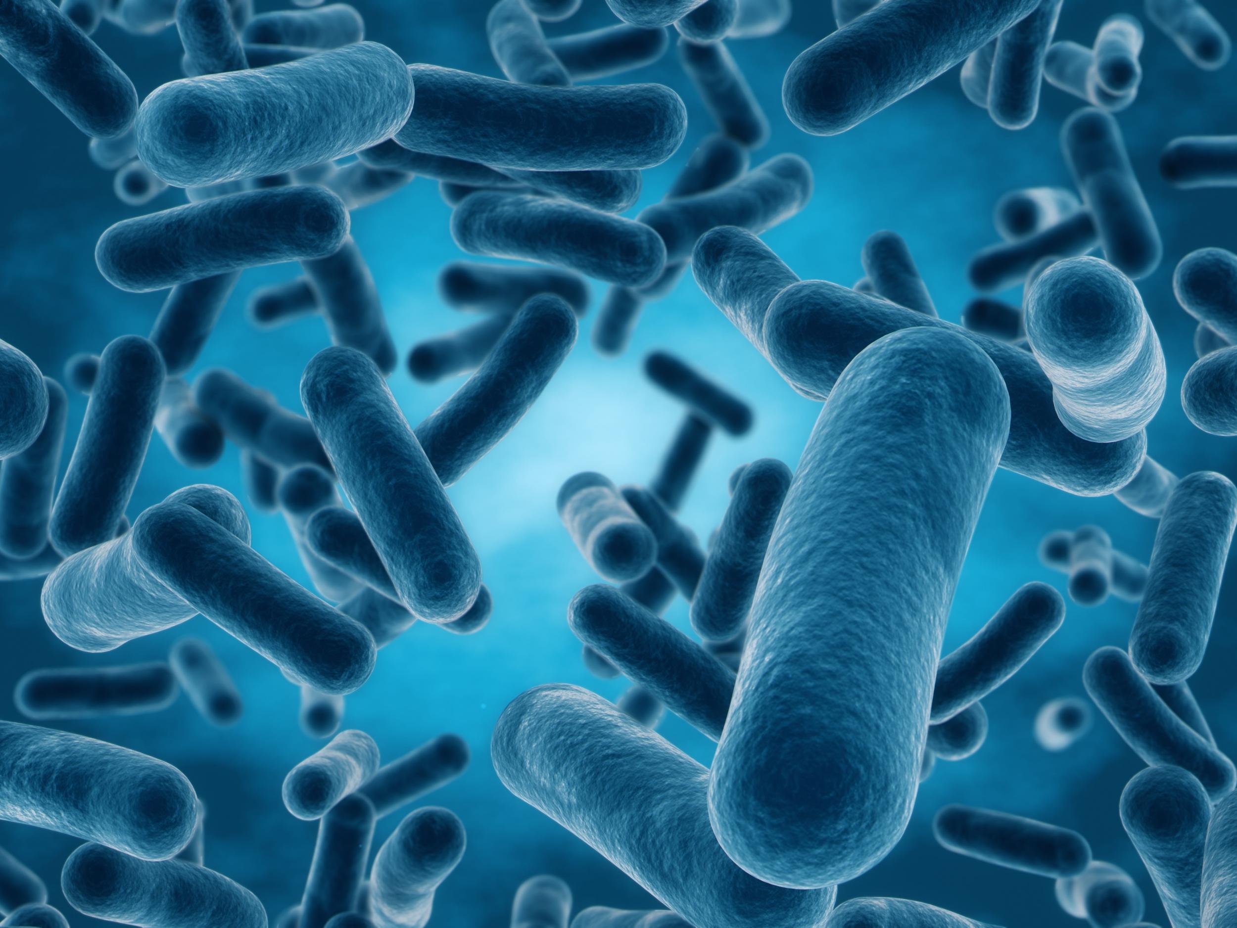 The bacterium Clostridium novyi-NT exploits the inherent differences between healthy and cancerous tissue, which helps make it a very precise anticancer agent