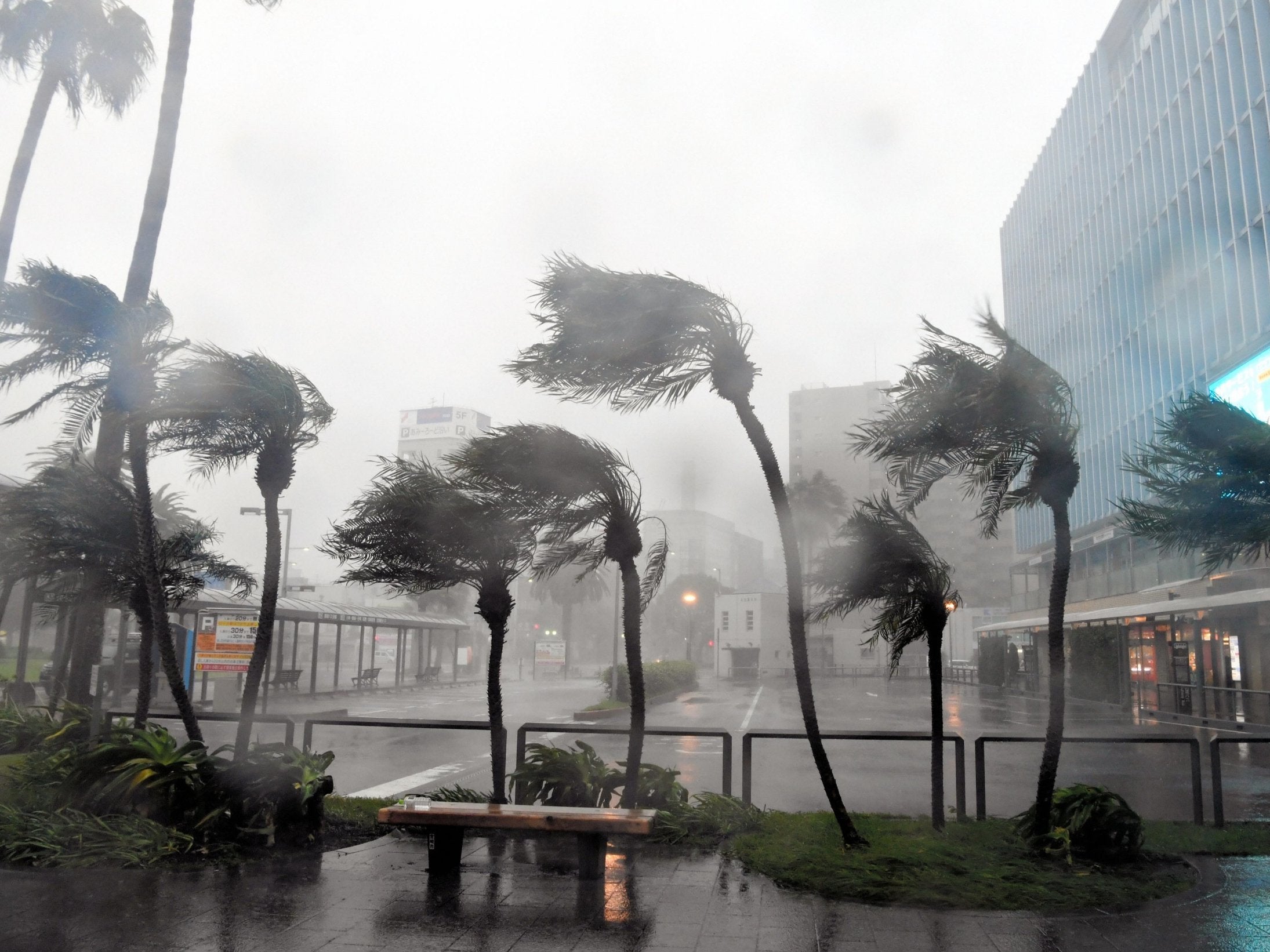 Japan is still recovering from Typhoon Trami, which brought heavy rains, strong winds and landslides