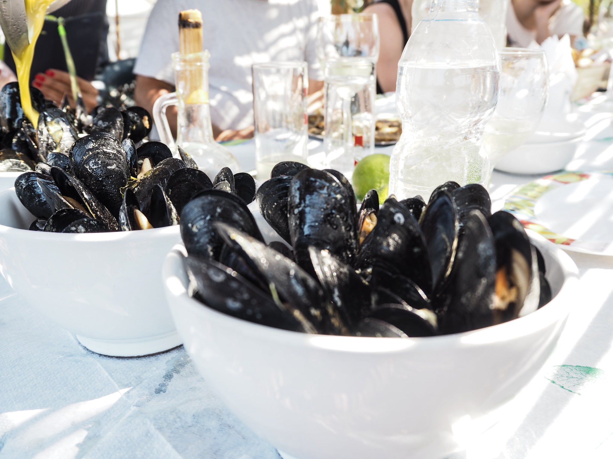 Eat freshly caught mussels from Lake Butrint