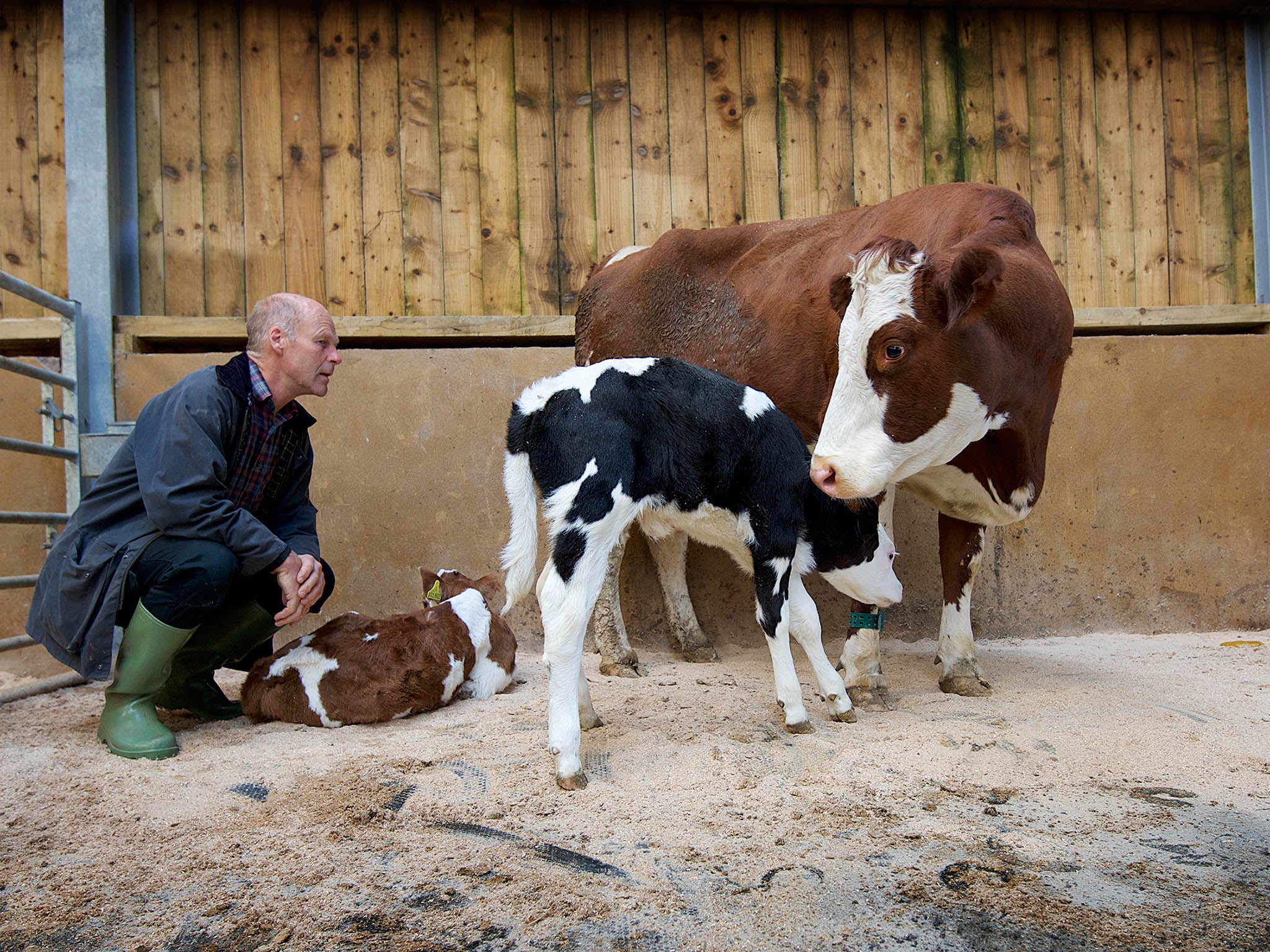 The Finlays are clearly tapping into a consumer demand for more ethically produced dairy products