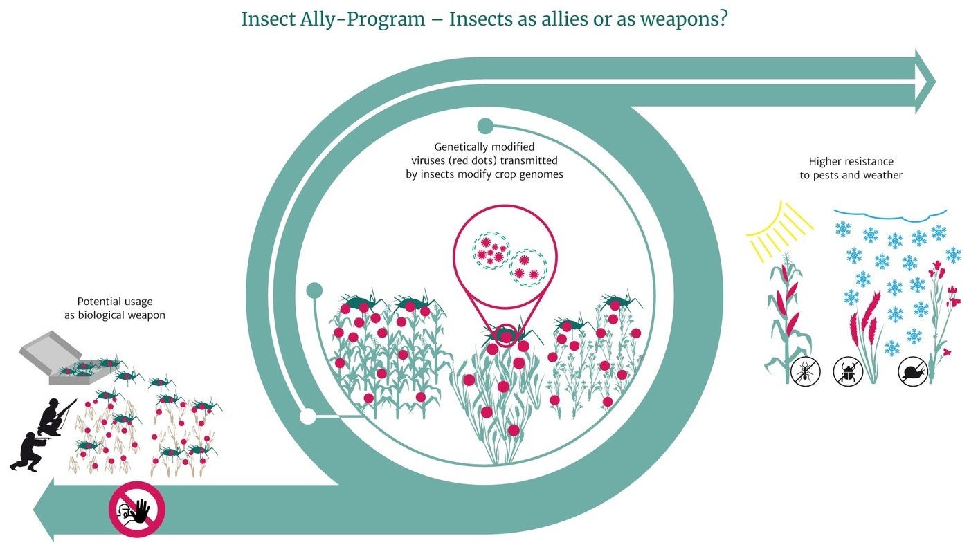 Research programme with potential for dual use: scientists fear that the Insect Ally programme by the US could encourage other states to increase their own research activities in the field of biological warfare (MPG/D.Duneka)