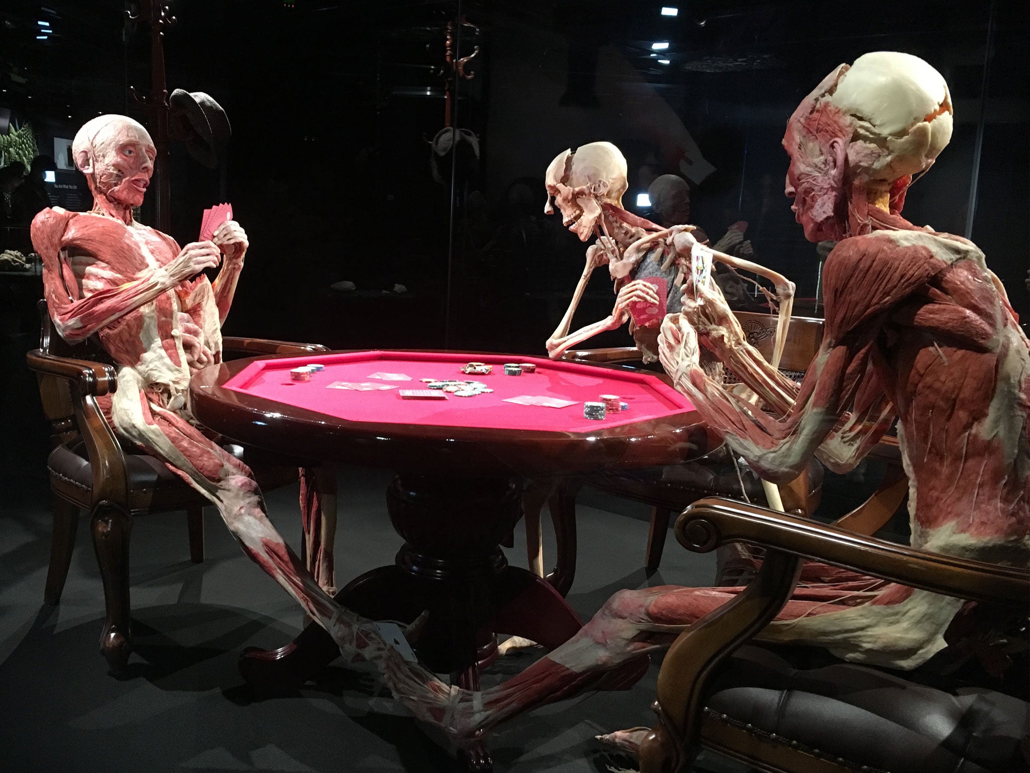 Plastinated bodies staged as poker players are seen at the exhibition