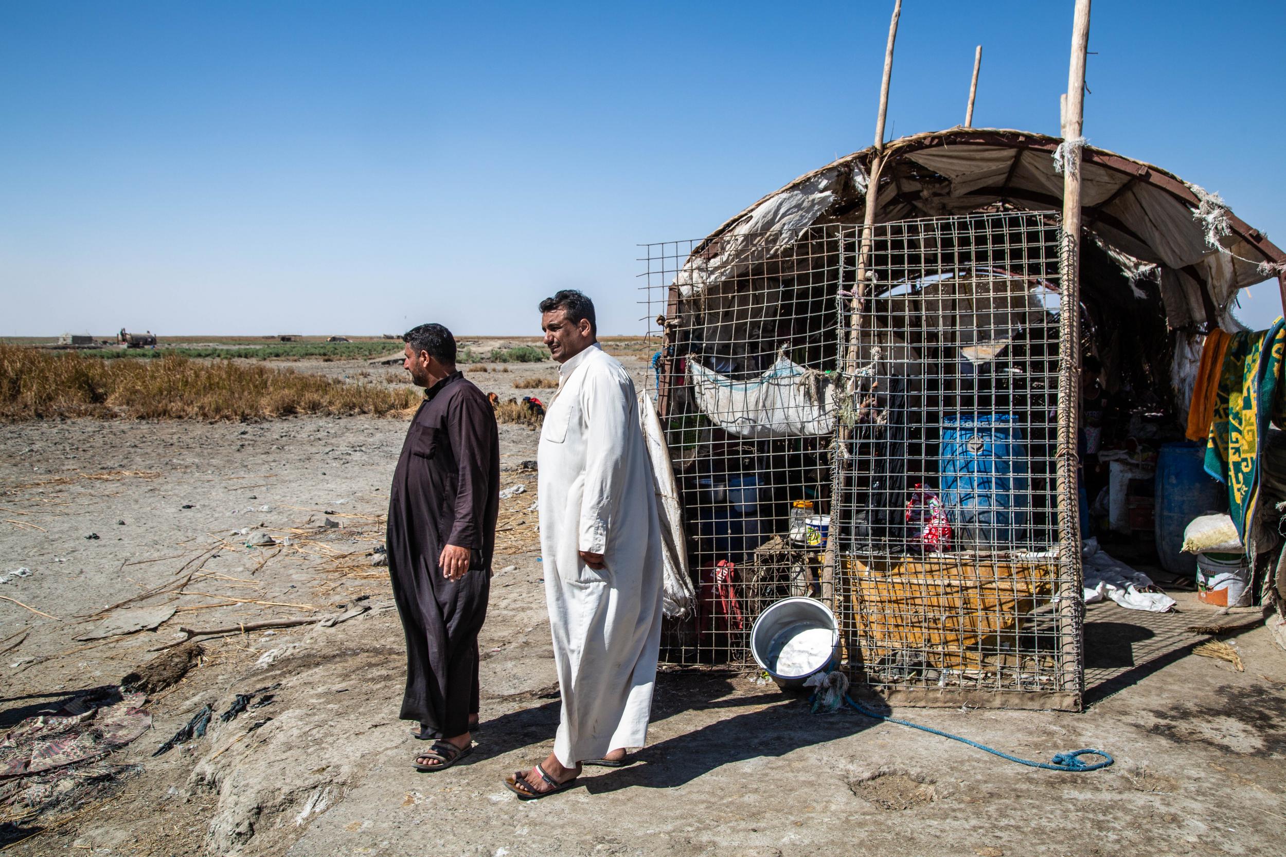 Rachid and Khaled, buffalo breeders in south Iraq look out over the dried out marshes