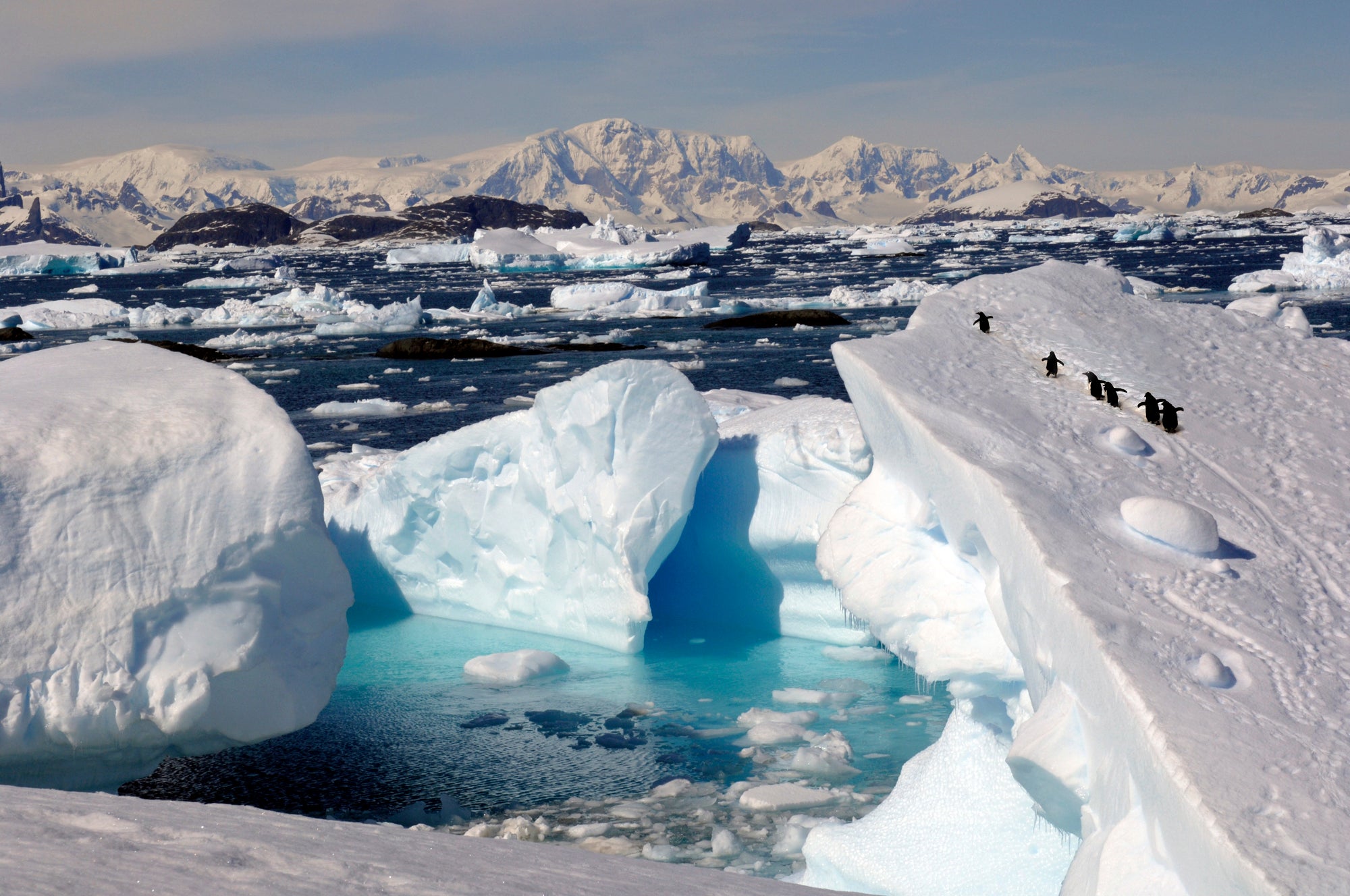 Reaching Antarctica as a solo traveller doesn’t have to break the bank (Getty/iStockphoto)