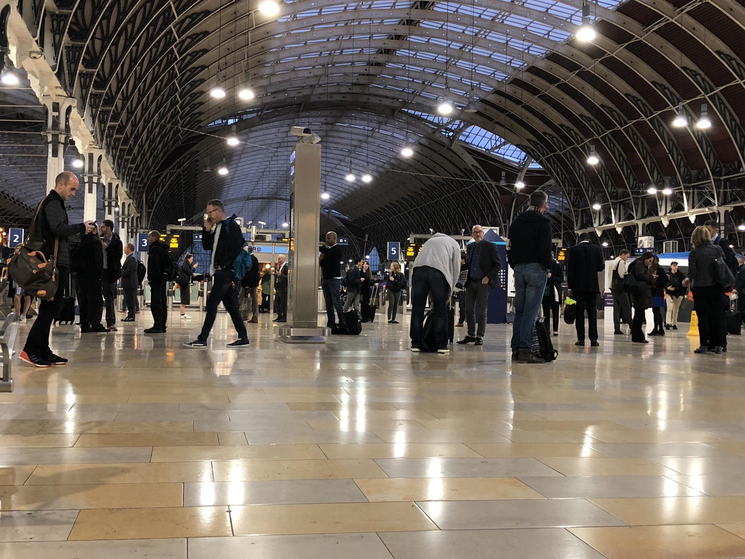 London's Paddington station, where the person 'possibly slipped' on droppings (File photo)