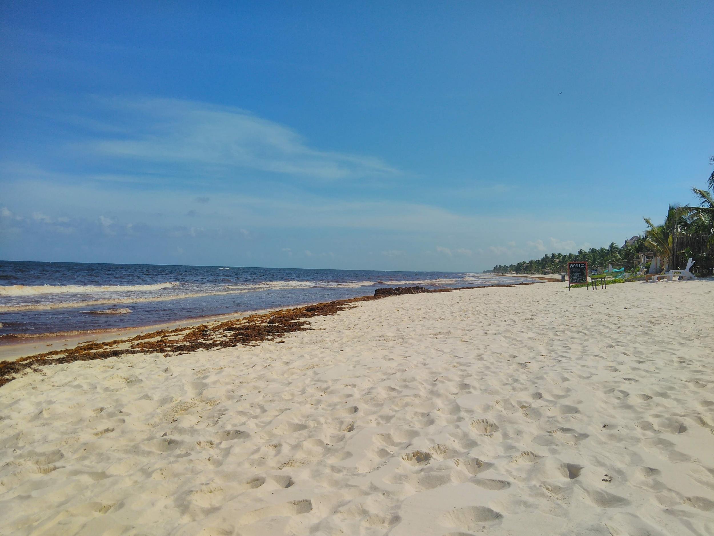 Tulum beach, loved by New Yorkers and Californians