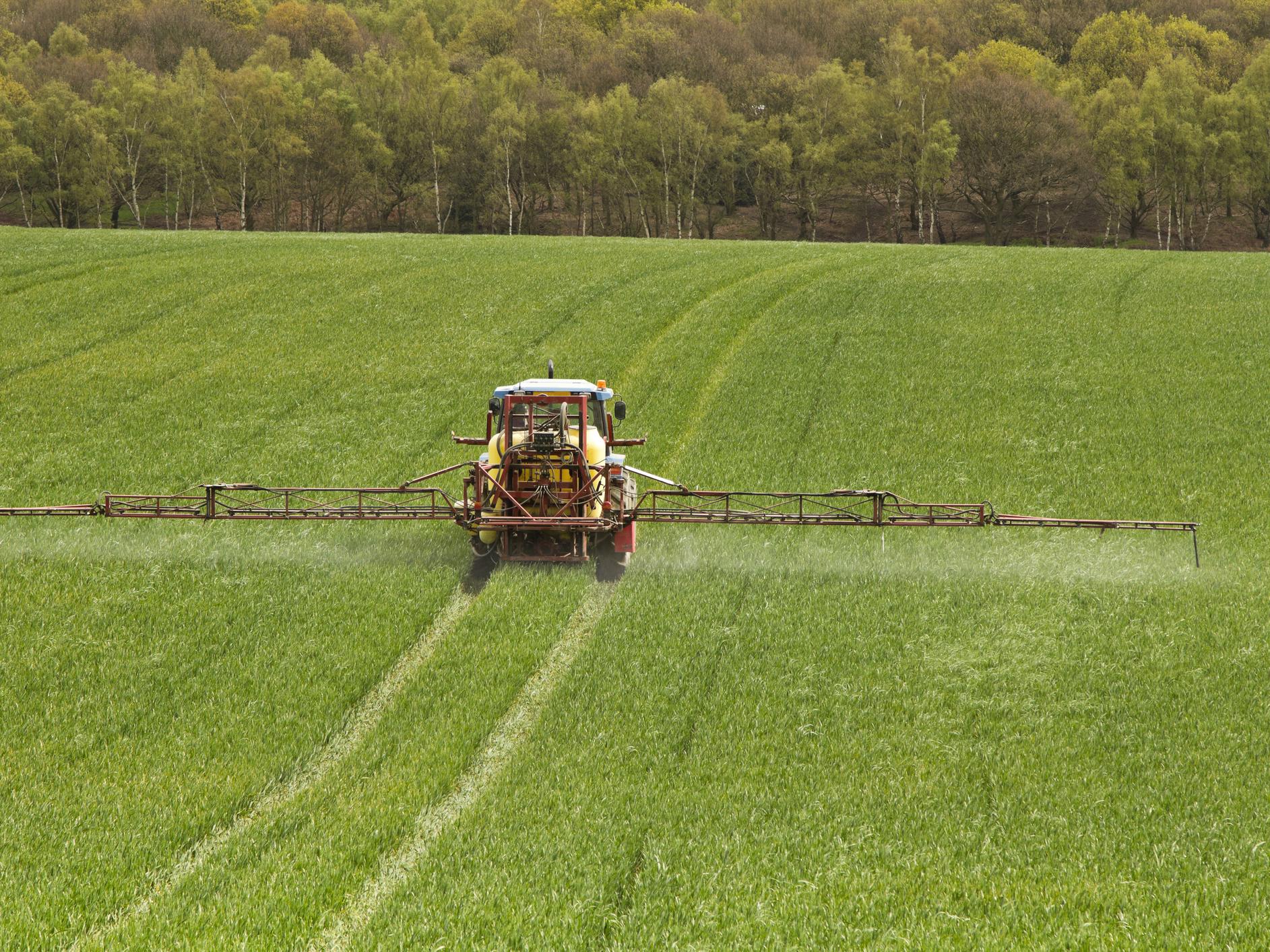 Experts have raised concerns about the health impacts of endocrine disruptors used in some pesticides