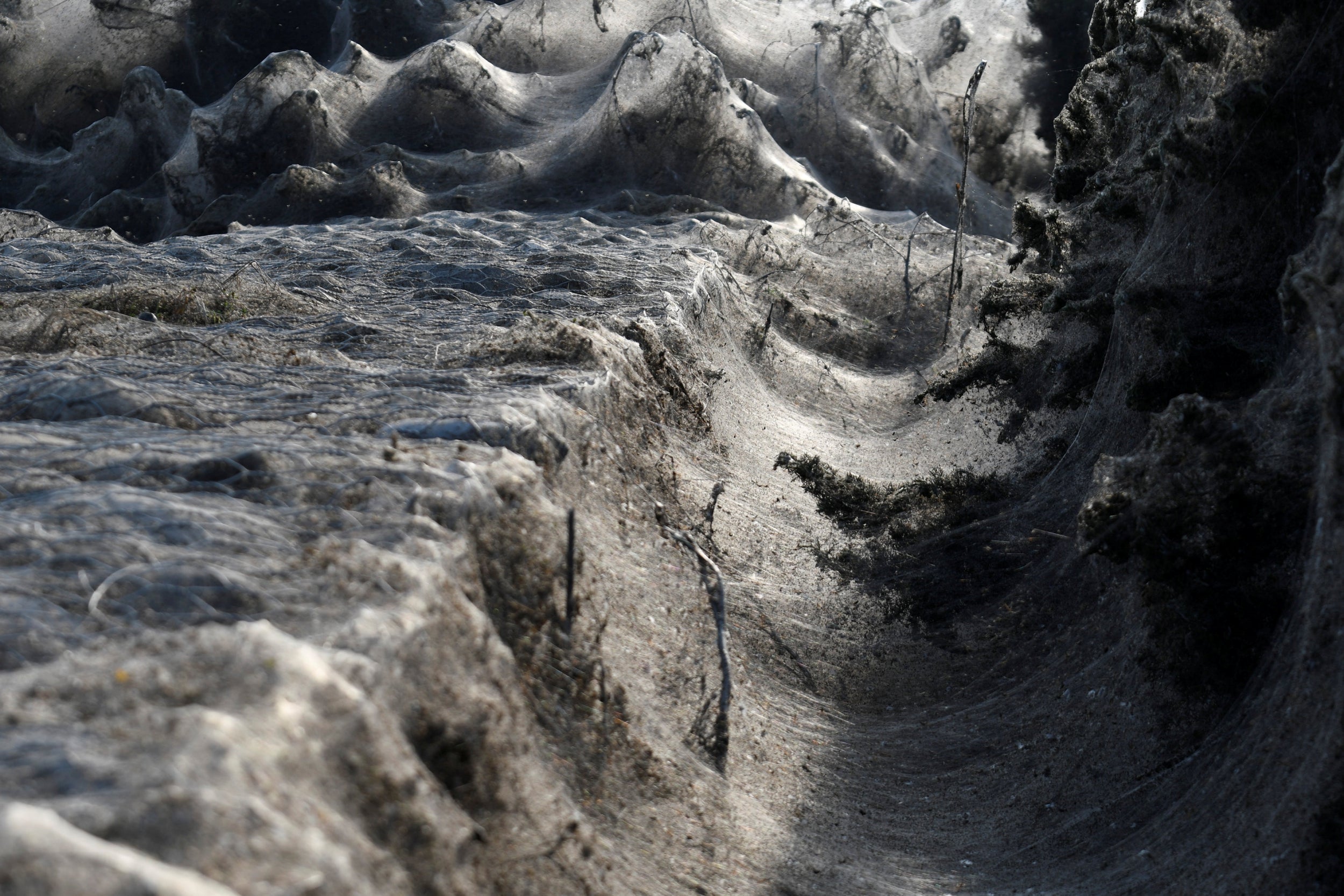 Lake Vistonida is covered by a giant spider's web