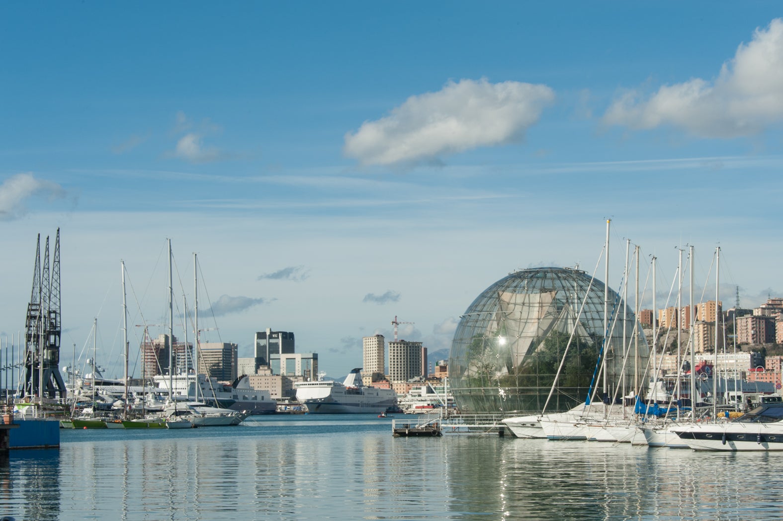 Genoa’s port, now a buzzing public space