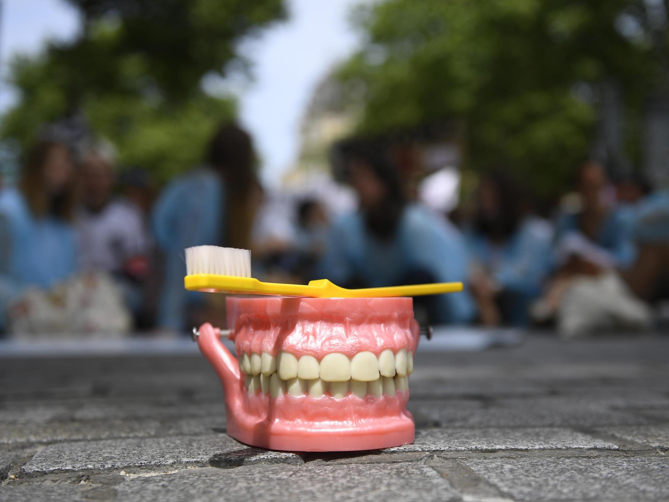 Thousands of teeth were discovered (file photo)