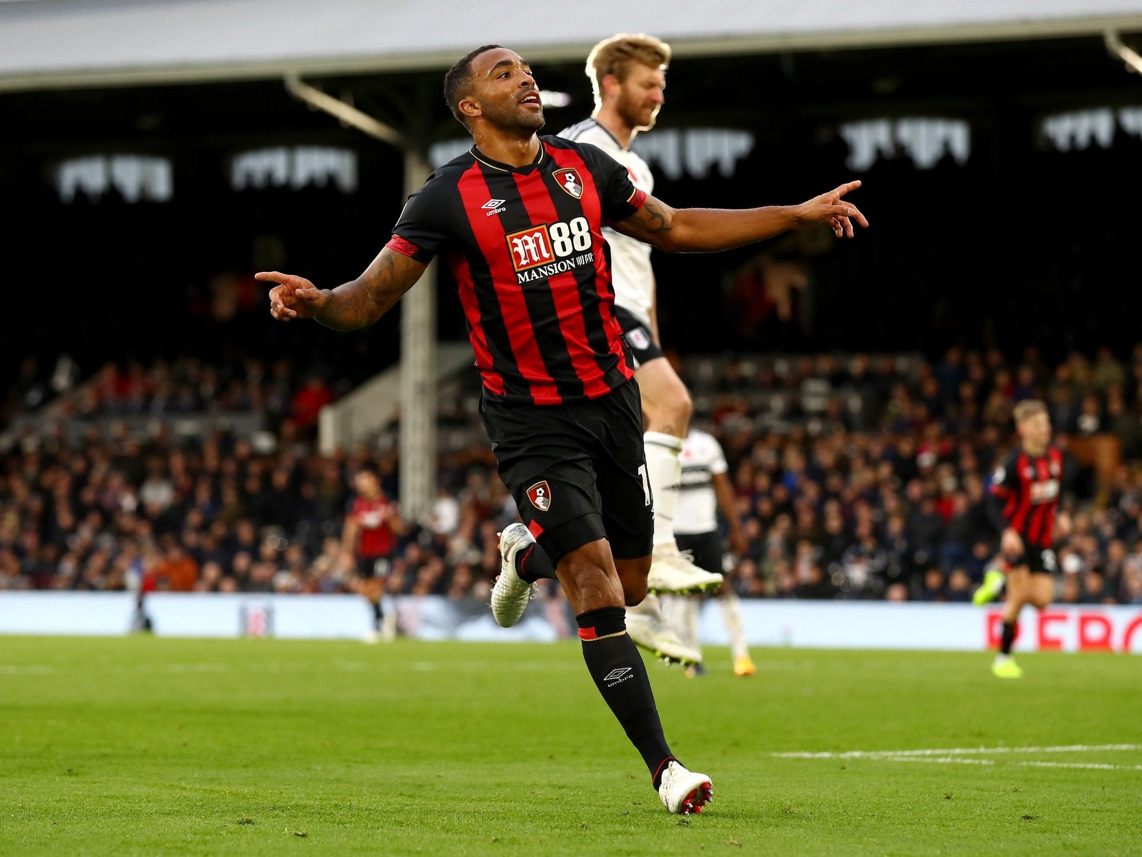 Callum Wilson scored twice as Bournemouth proved too good