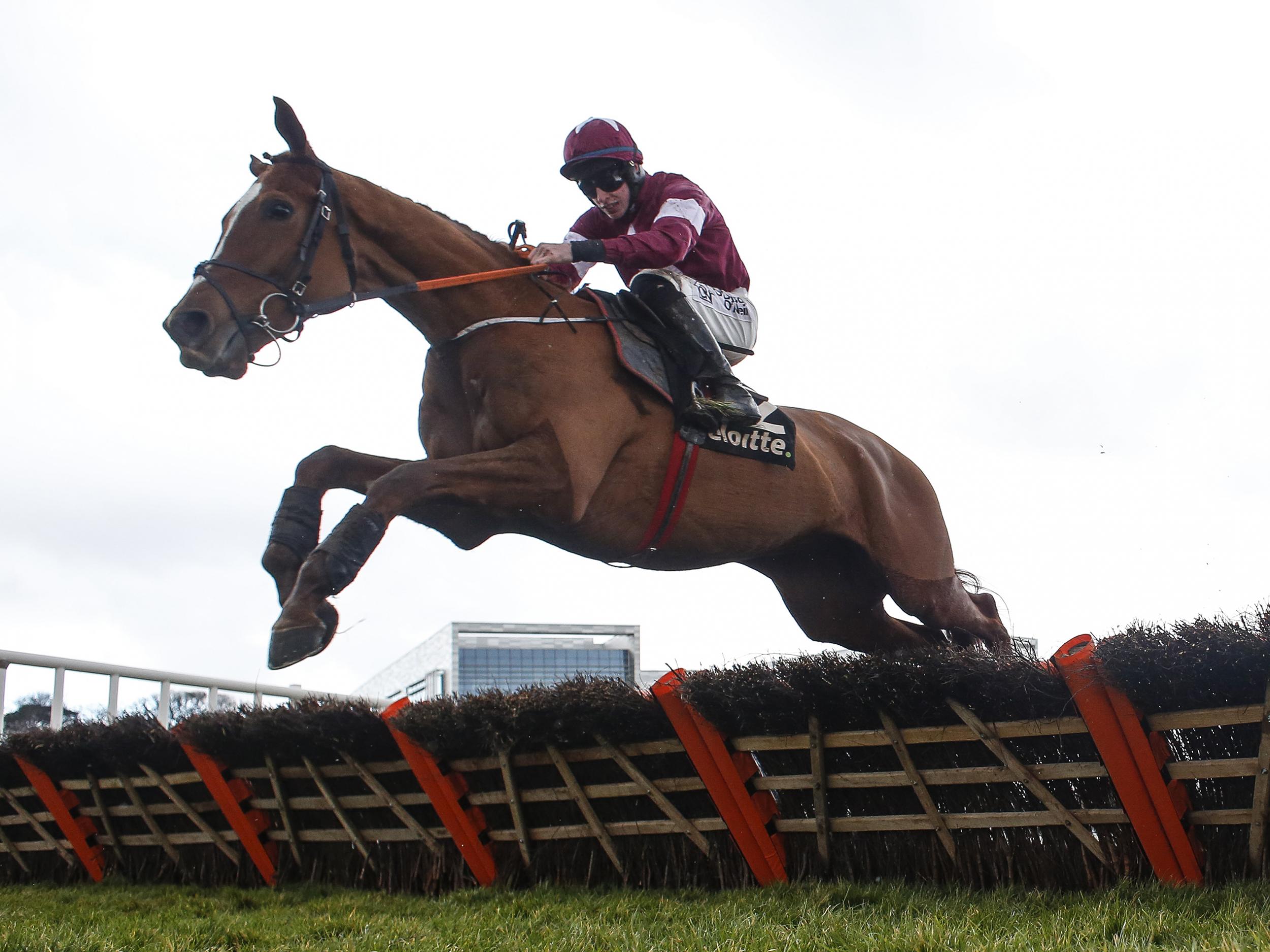 Samcro will be entered into the Cheltenham Champion Hurdle