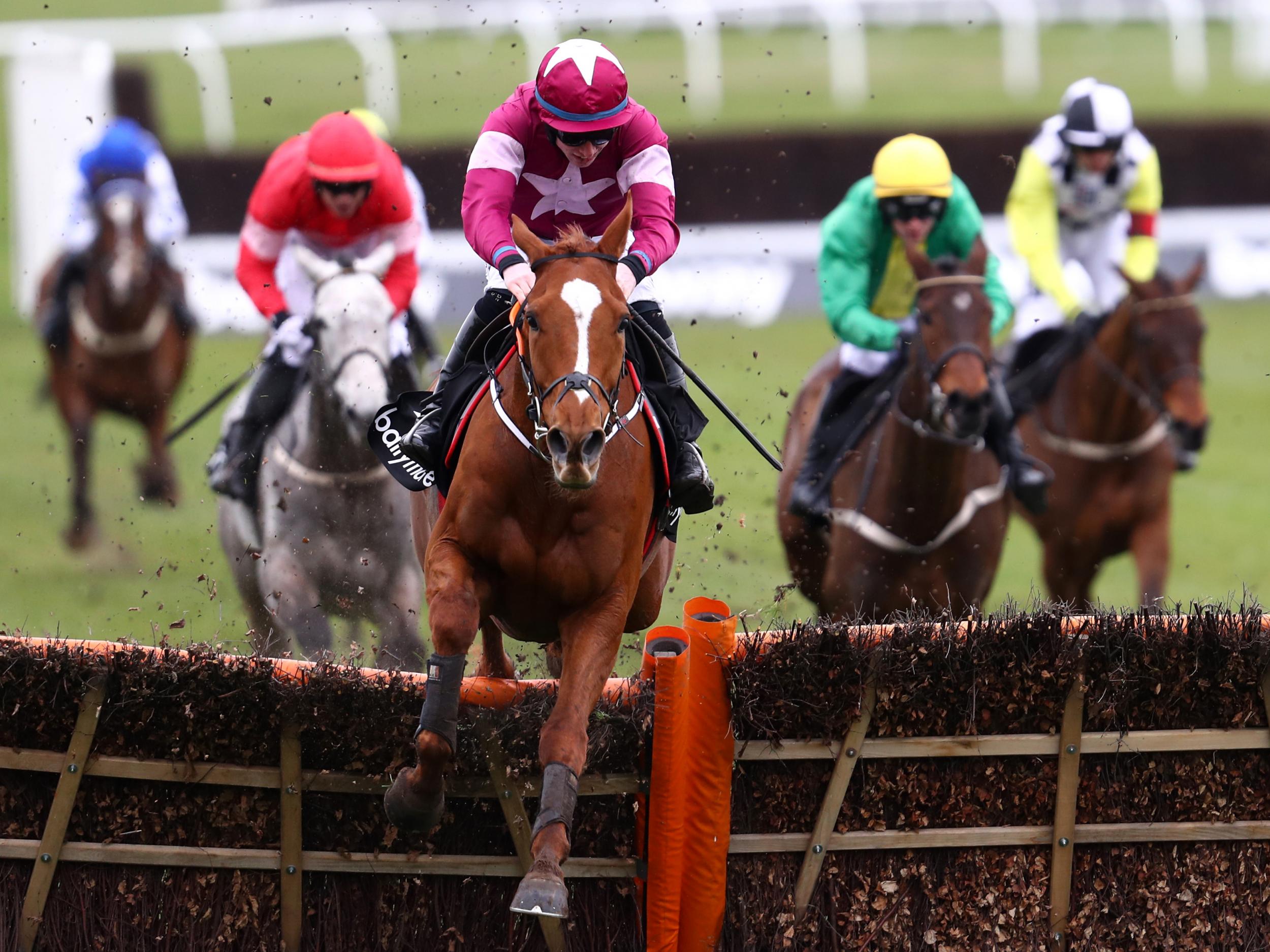 Samcro is 3-1 joint-favourite to win the 2019 Champion Hurdle