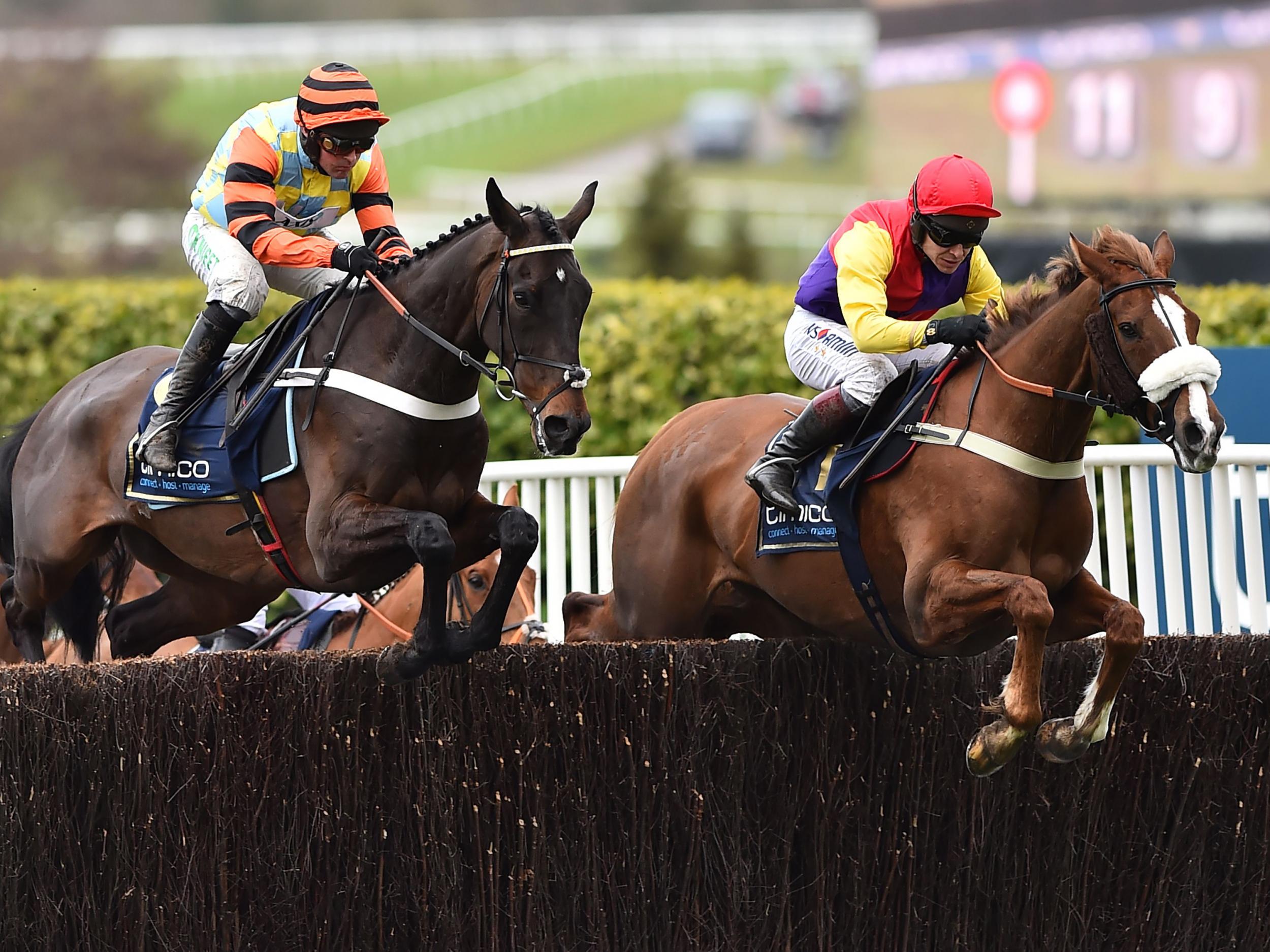 Native River [R] beat Might Bite [L] in the 2018 Gold Cup