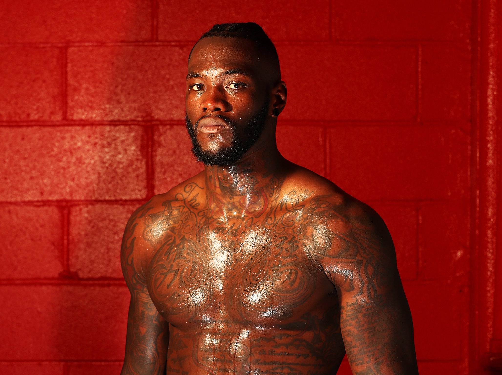 Wilder boasts a flawless professional record