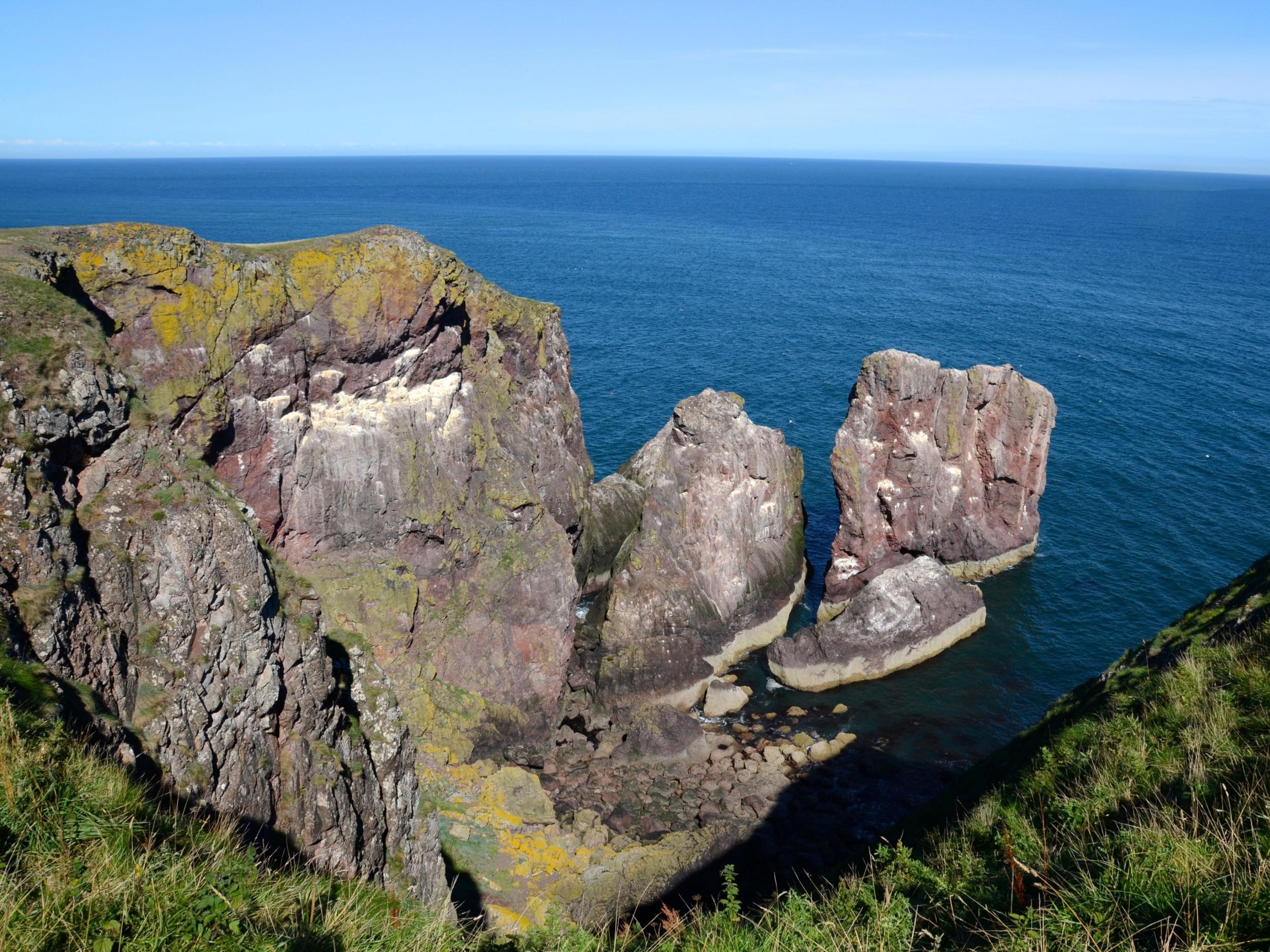 The man was walking along the beach near Eyemouth when he was forced to flee