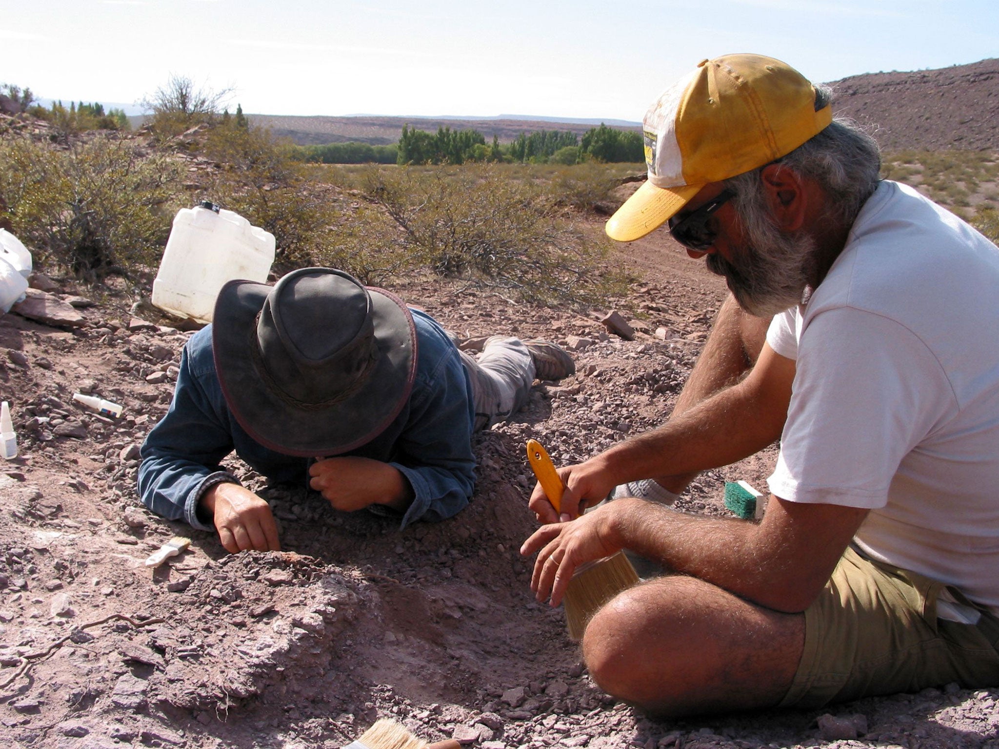 Scientists have uncovered a new species of dinosaur during studies in Neuquen, central Argentina