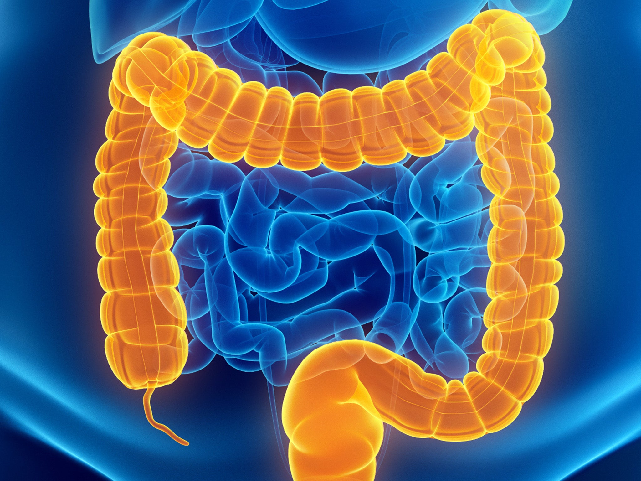 The human gut is home to hundreds of different species of bacteria