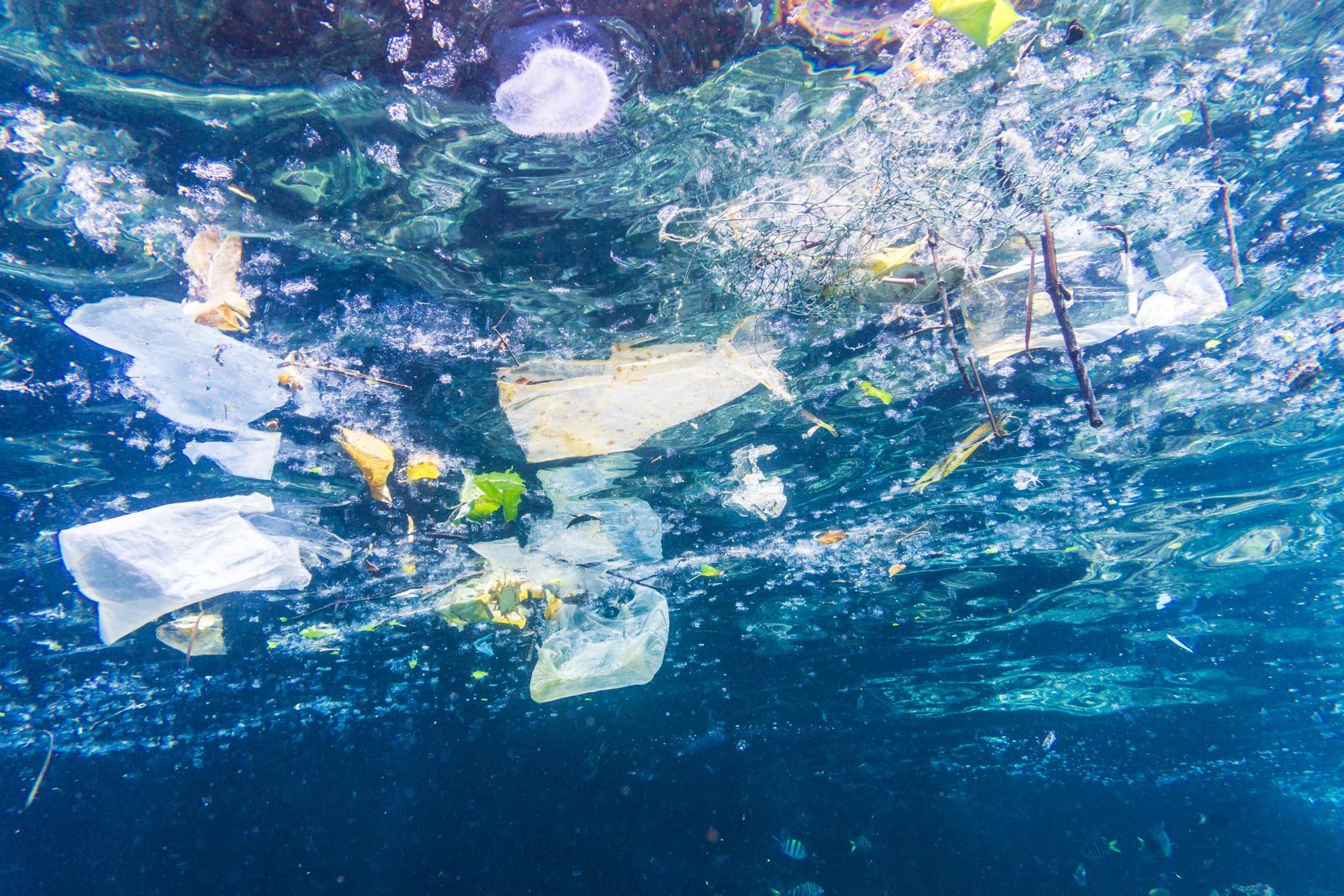 The conversation surrounding single-use plastics is on the rise