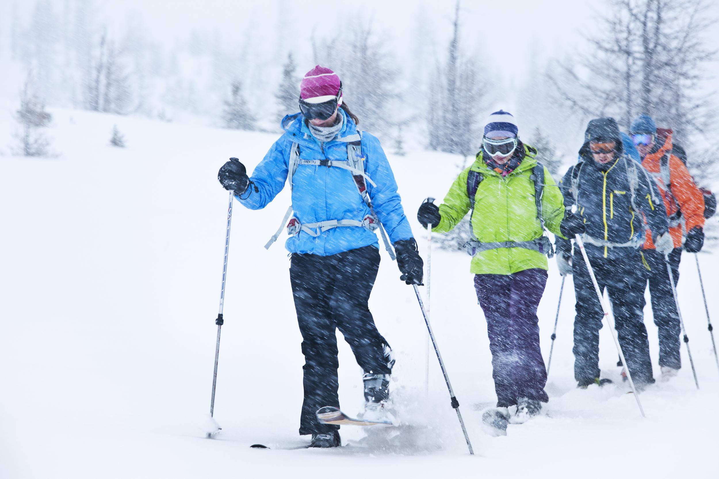 Take a guided snowshoe tour in Lake Louise