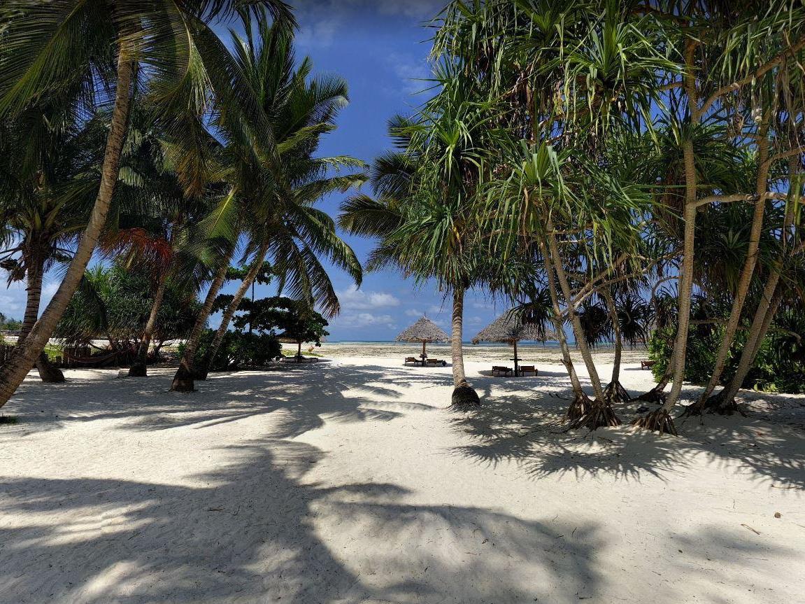 The men were arrested on Pongwe Beach in Zanzibar following a tip-off