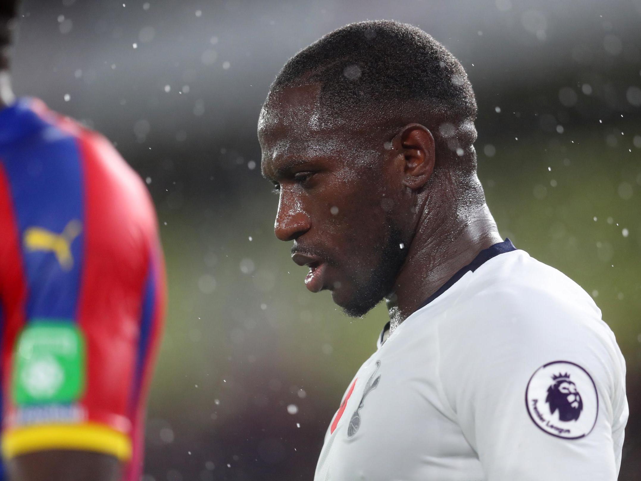 Tottenham fans could be heard chanting Moussa Sissoko's name during the win at Palace