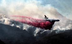 ‘It’ll start getting cooler. You just watch': Trump states categorical denial of climate crisis during California wildfire visit