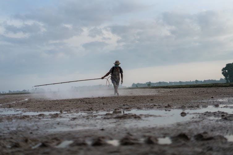 Veasna, a smallholder farmer in a village with high immigration to brick kilns, sprays pesticide over his field