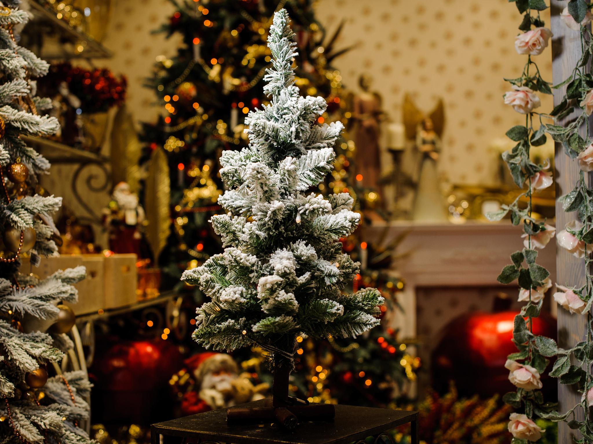 Only 65 per cent of respondents said they will put up a Christmas tree this year