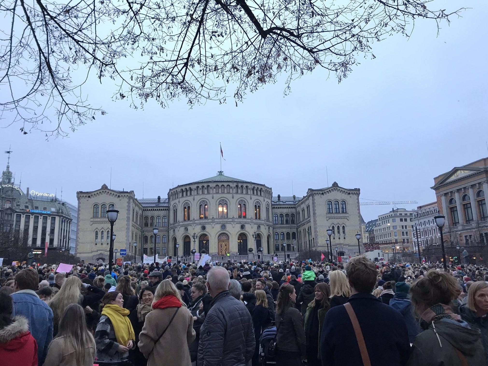 Protesters outside the Norwgian capital's Storting parliament building joined others around the country opposing any more abortion restrictions