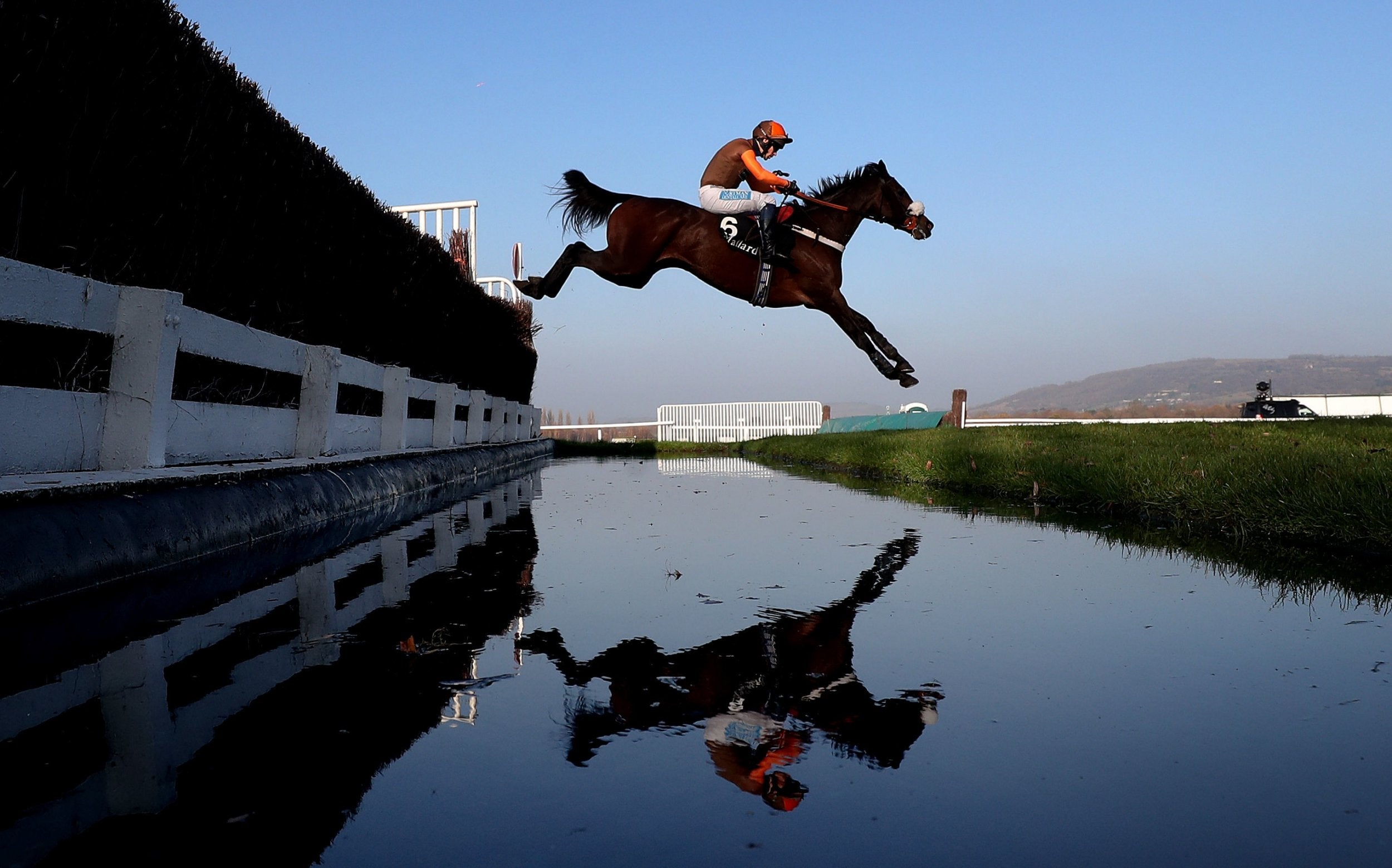 Racehorse deaths are back on the rise in the UK