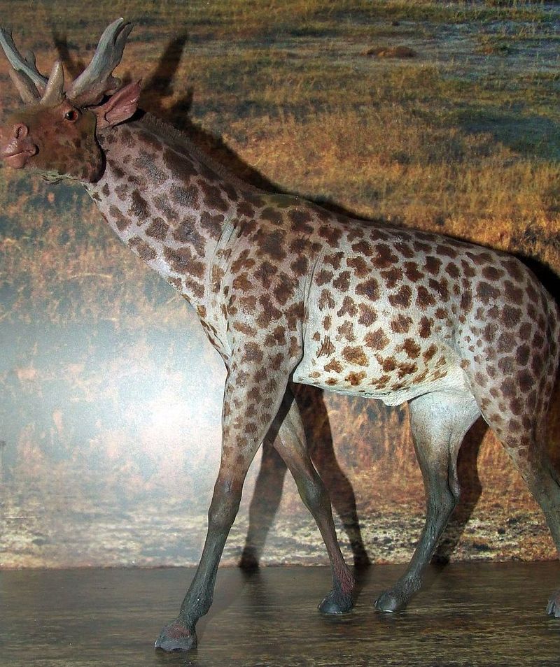 Sivatherium – a relative of the giraffe – had a powerful neck and two sets of antlers