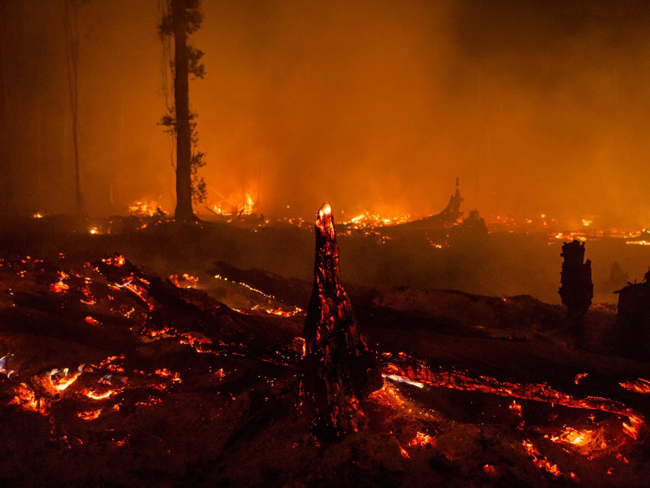 A view of a land as peatland forest is cleared by burning for a palm oil plantation at a company's grounds on 1 November 2015 in the outskirts of Palangkaraya, Central Kalimantan, Indonesia