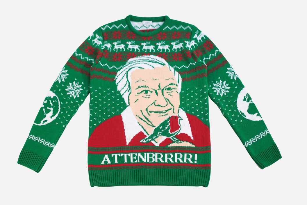 David Attenborough Christmas Jumper: Attenbrrr