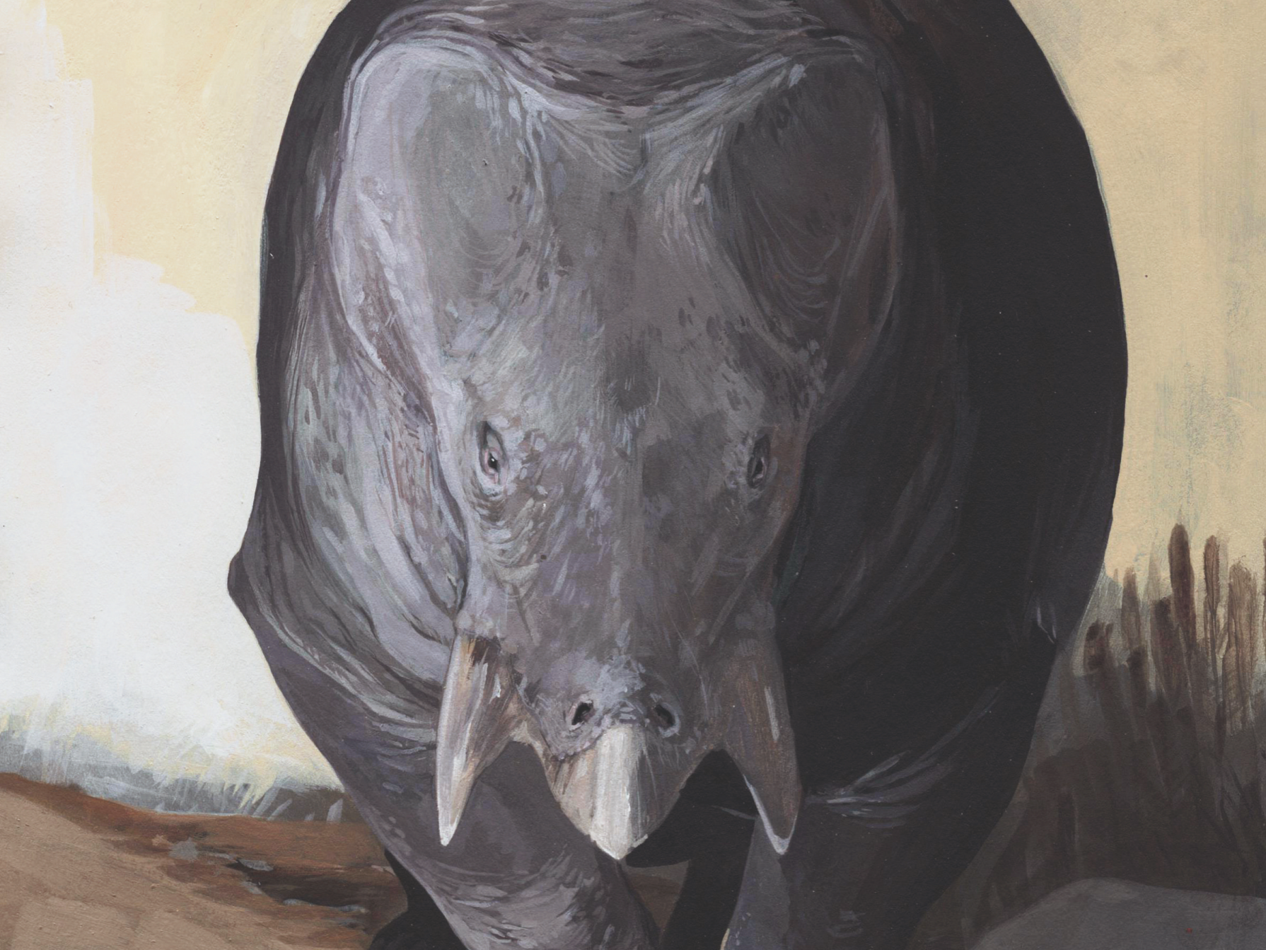 The newly discovered Lisowicia bojani reveals dicynodonts - predecessors of modern mammals - grew to colossal sizes