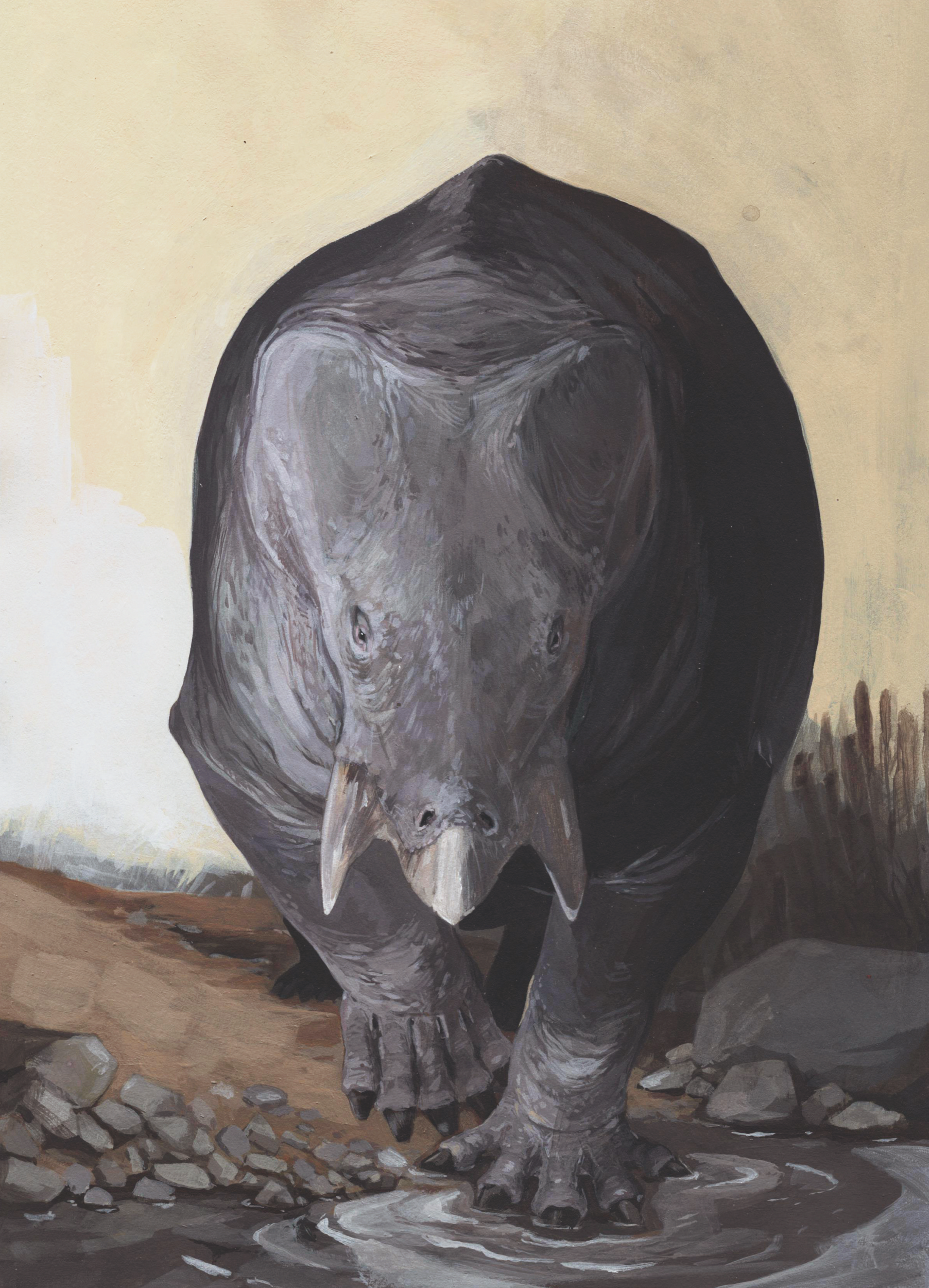 The newly discovered Lisowicia bojani reveals dicynodonts - predecessors of modern mammals - grew to colossal sizes