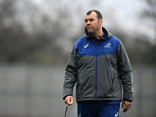 Cheika guided Australia to the 2015 World Cup final