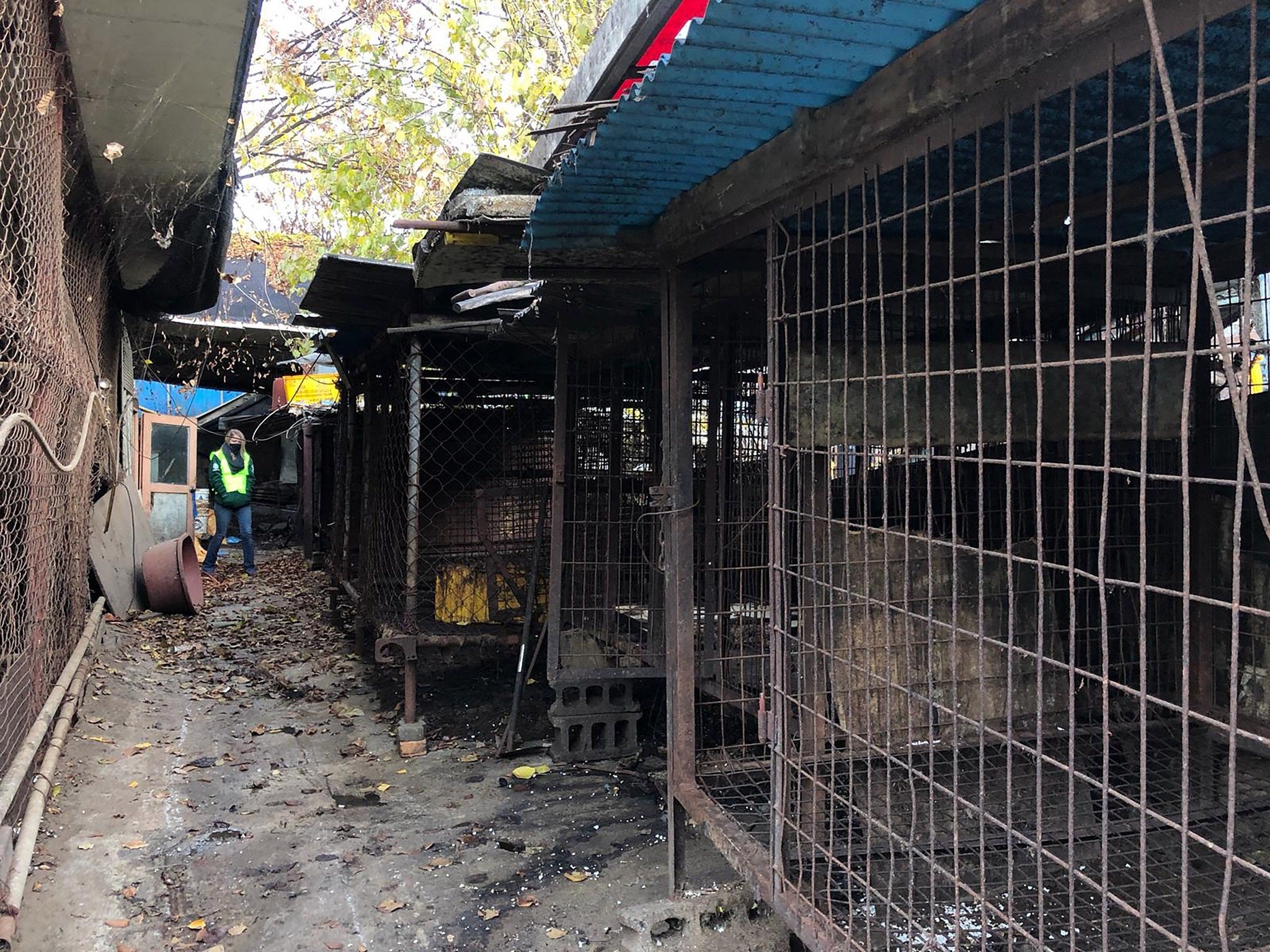 A photo taken on November 22, 2018 by US-based animal rights group the Humane Society shows cages at the Taepyeong-dong dog slaughterhouse complex in Seongnam city, south of Seoul, as it is closed down.